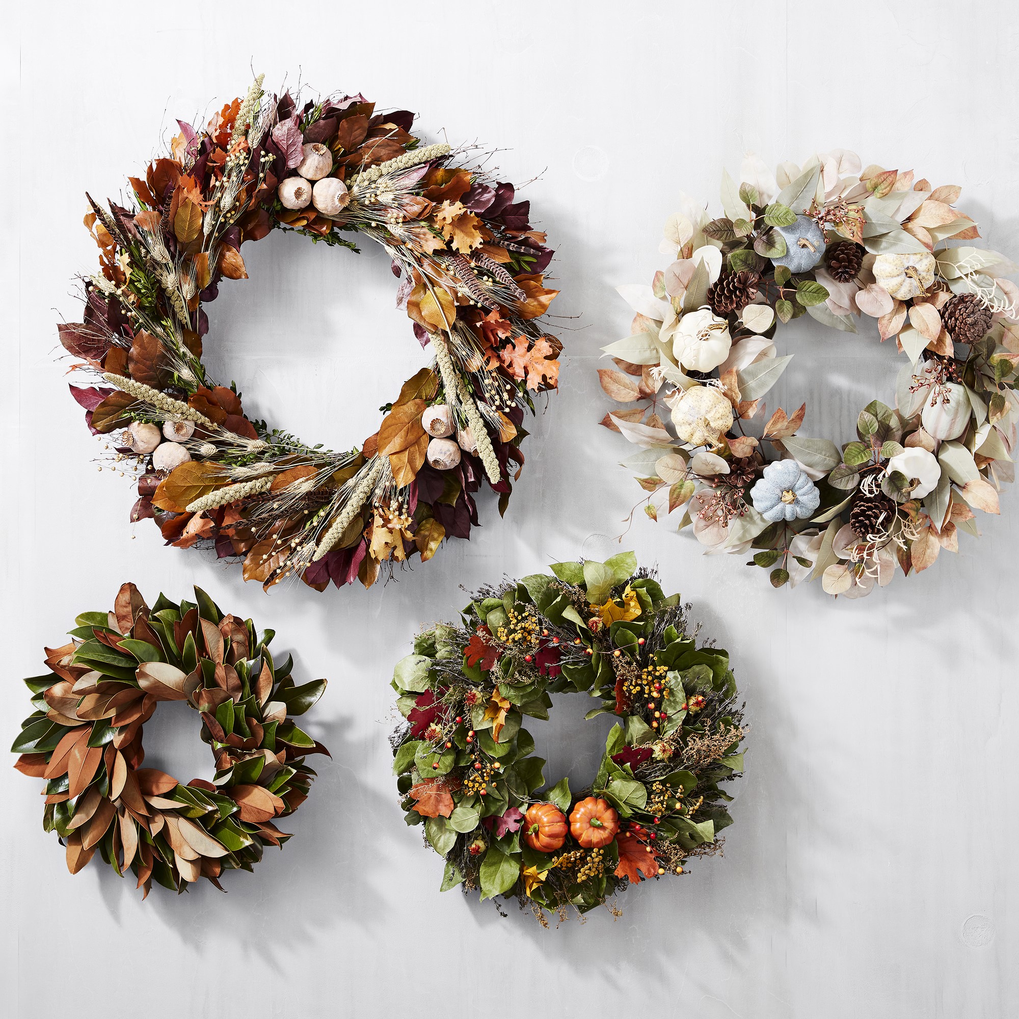 Magnolia Live Wreath & Garland
