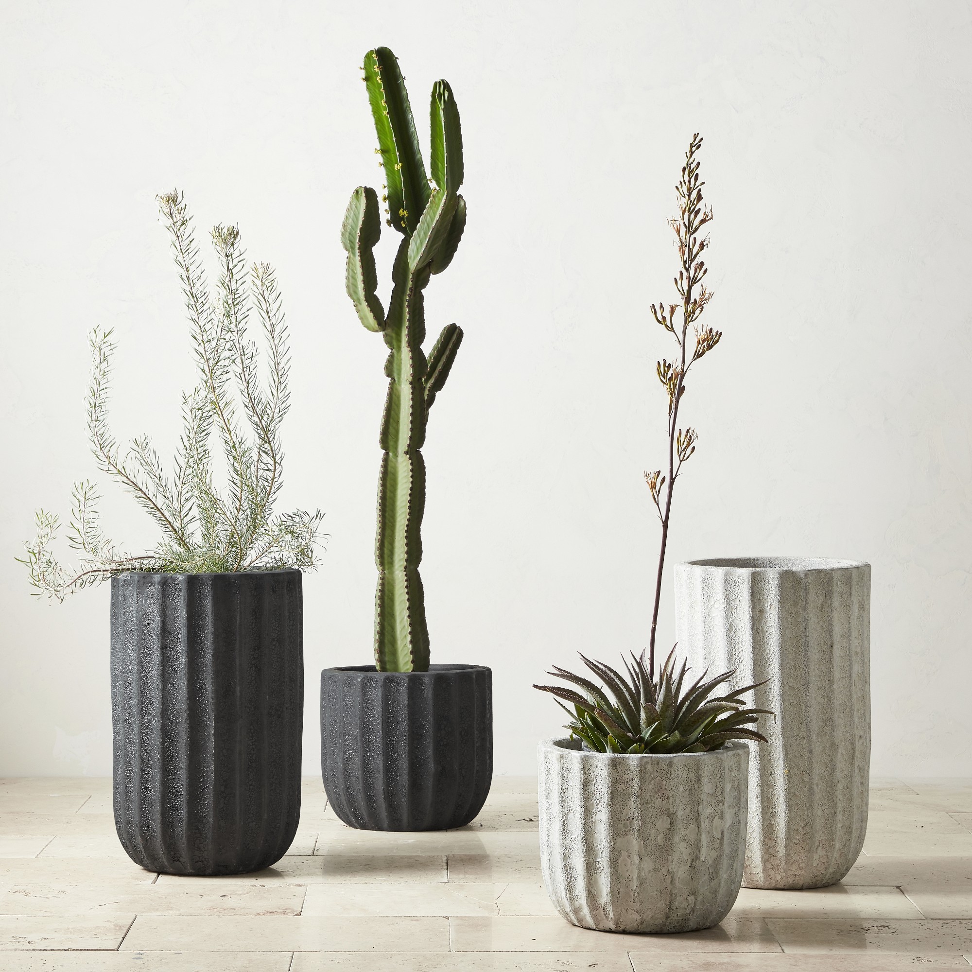 Maris Planter