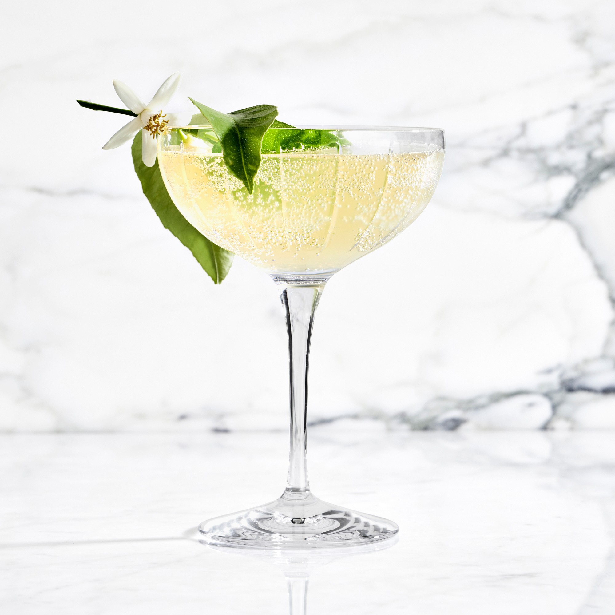 Dorset Stemware Collection