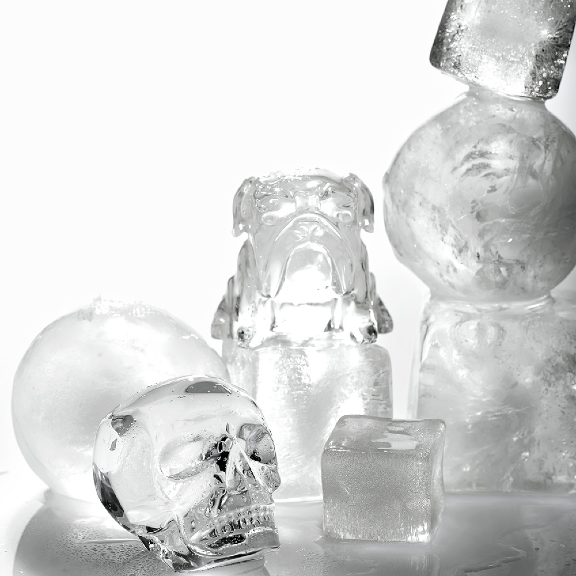 Williams Sonoma Skull Ice Mold, Set of 2