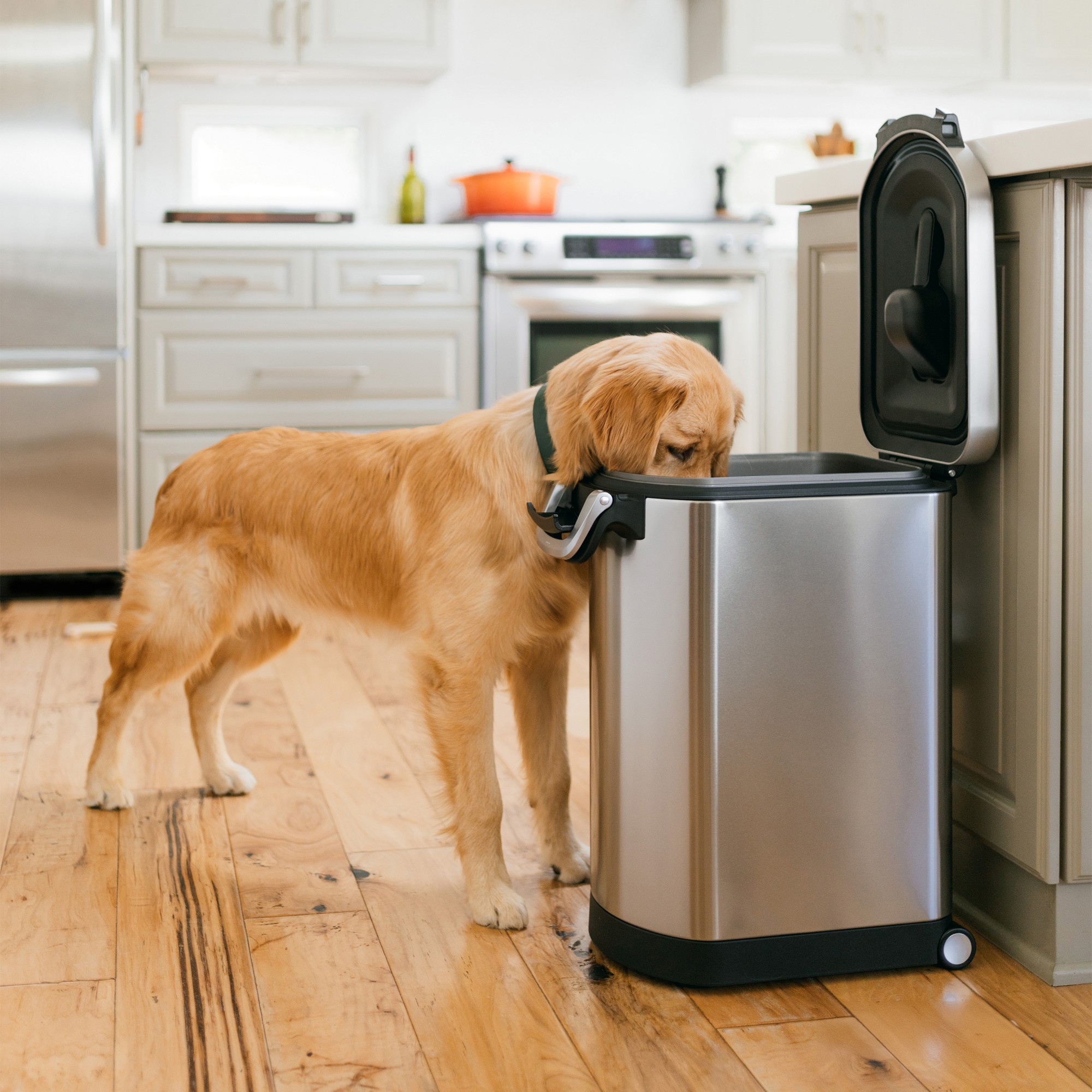 simplehuman™ Stainless Steel Pet Food Container