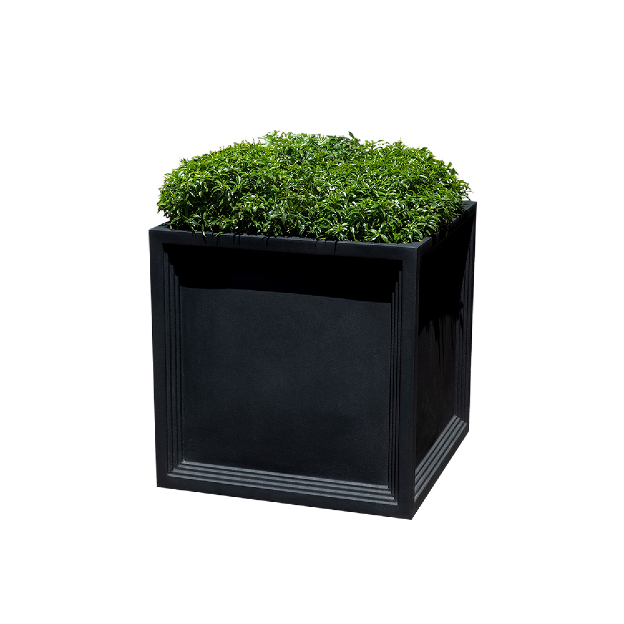 Sandhurst Planter