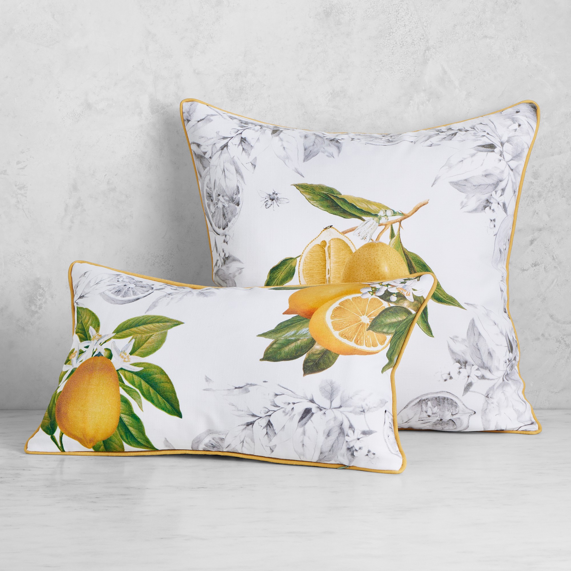 Meyer Lemon Pillow Cover