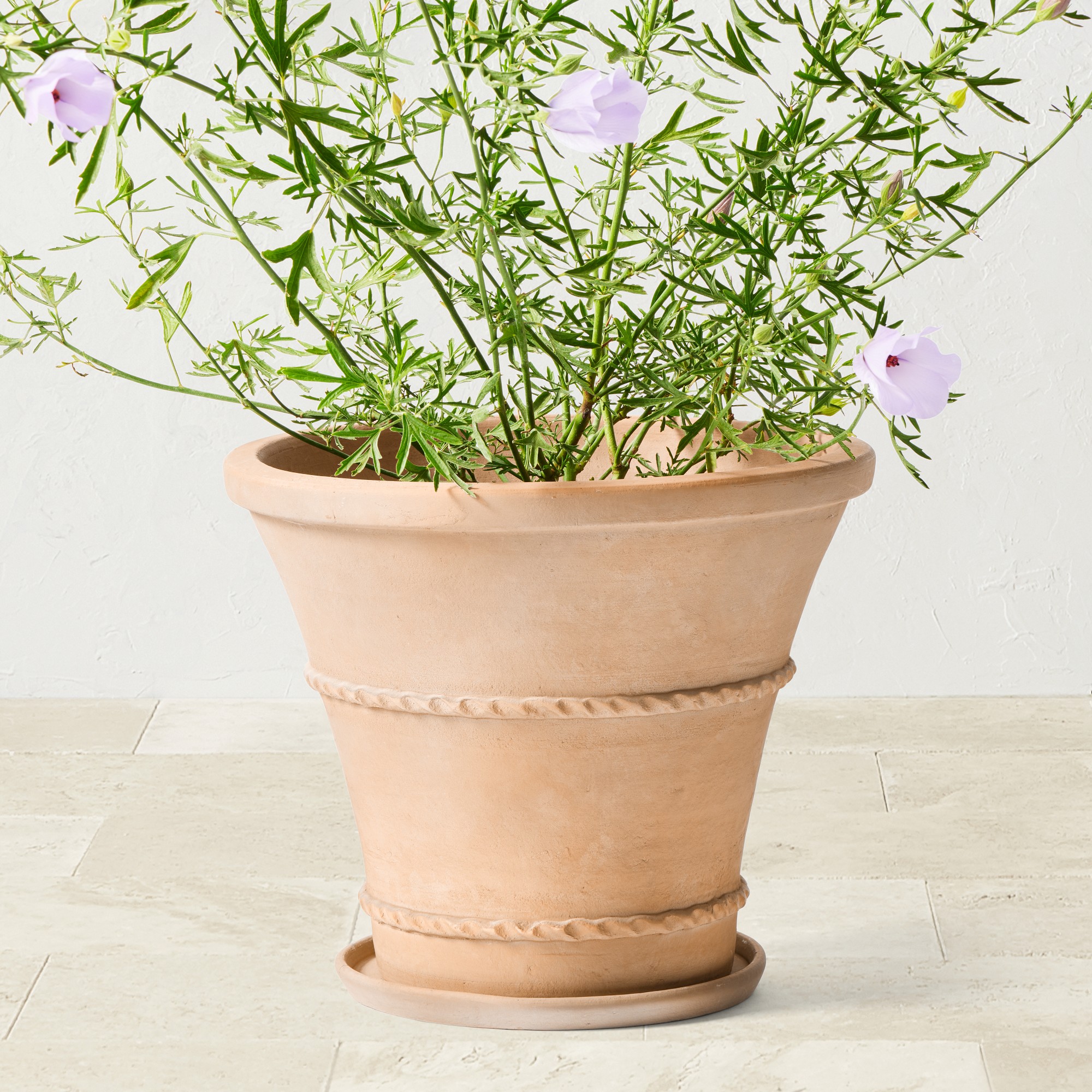 Williams Sonoma Terracotta Rope Planter