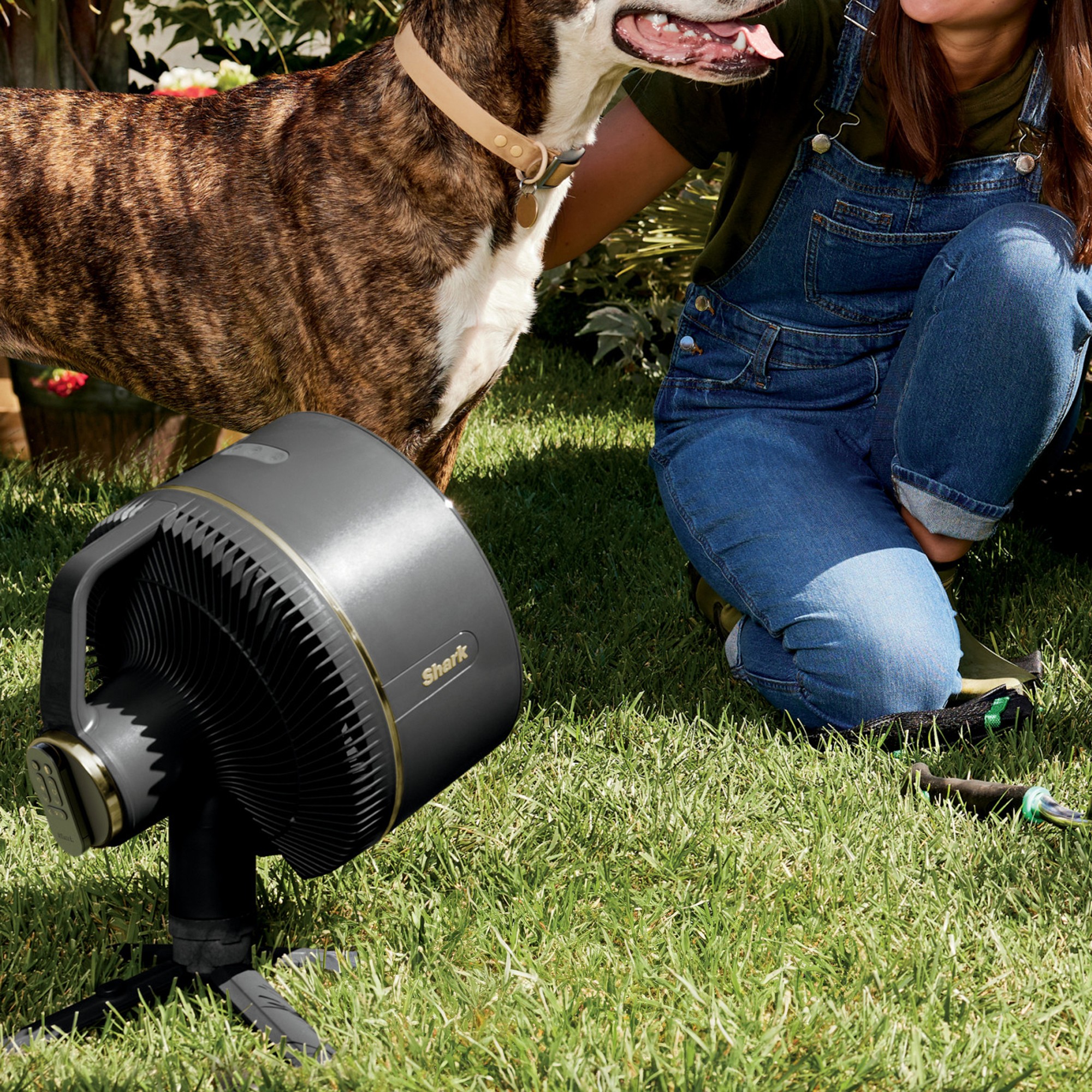 Shark FlexBreeze Fan With InstaCool Mist Attachment