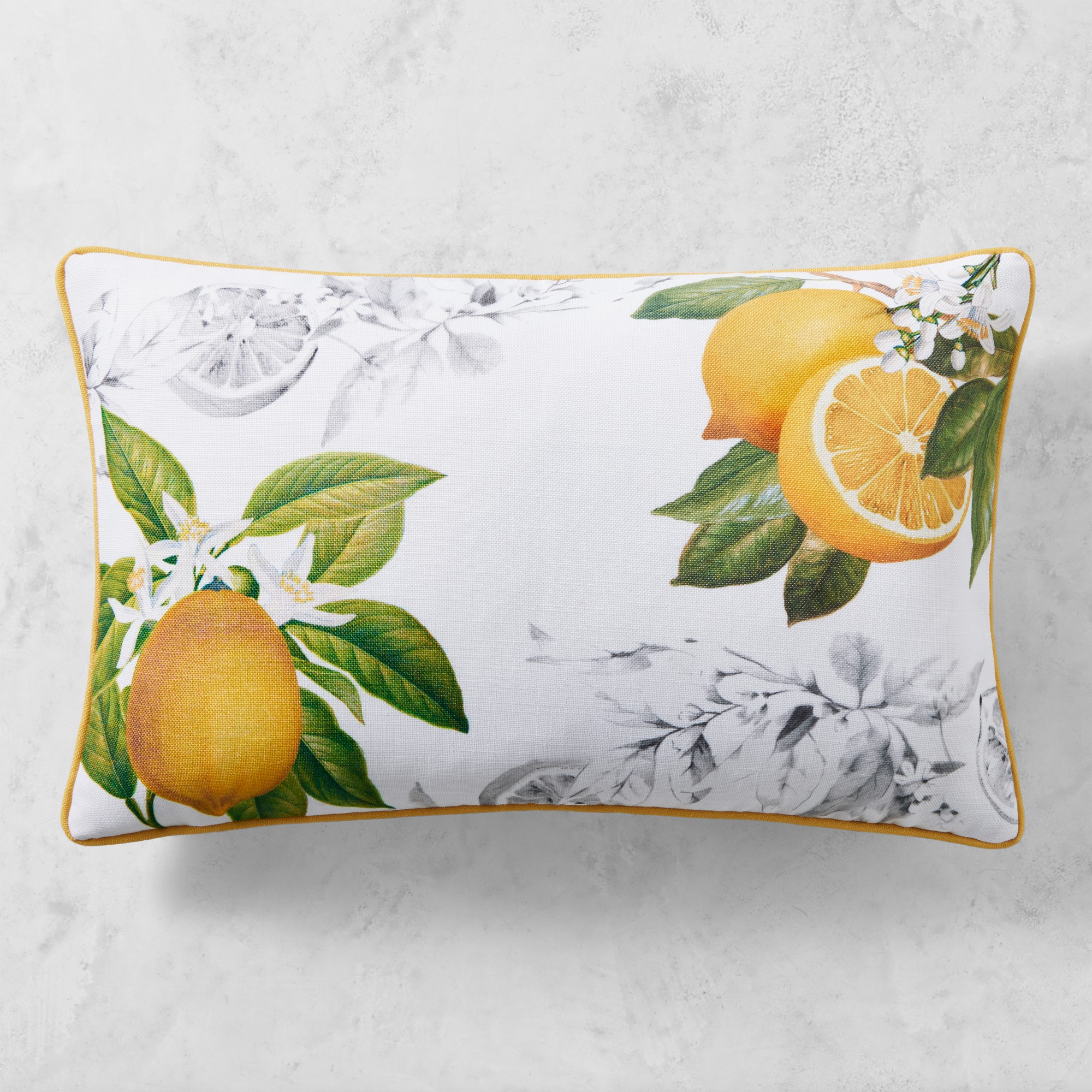 Meyer Lemon Pillow Cover