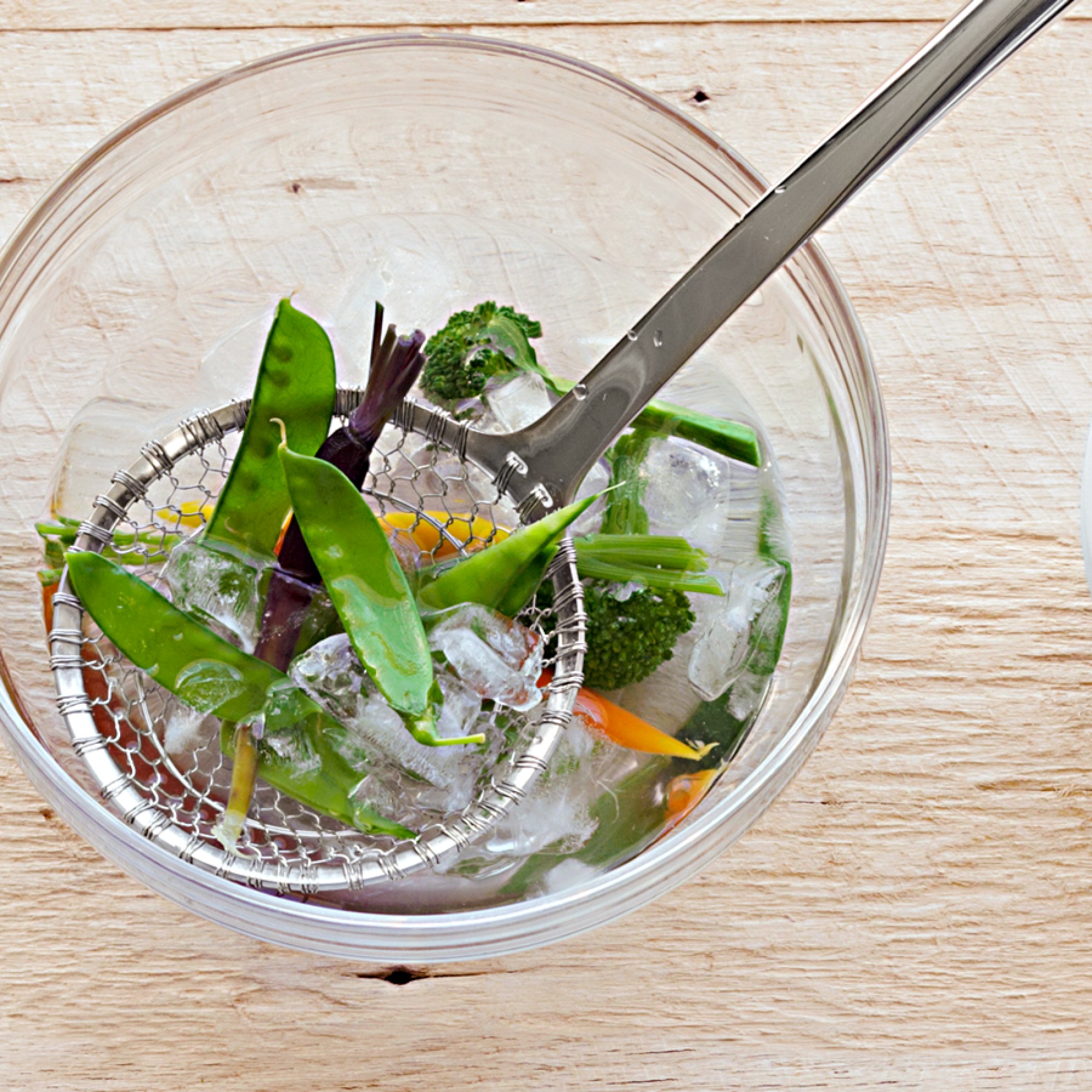 Williams Sonoma Signature Stainless Steel Spider Strainer