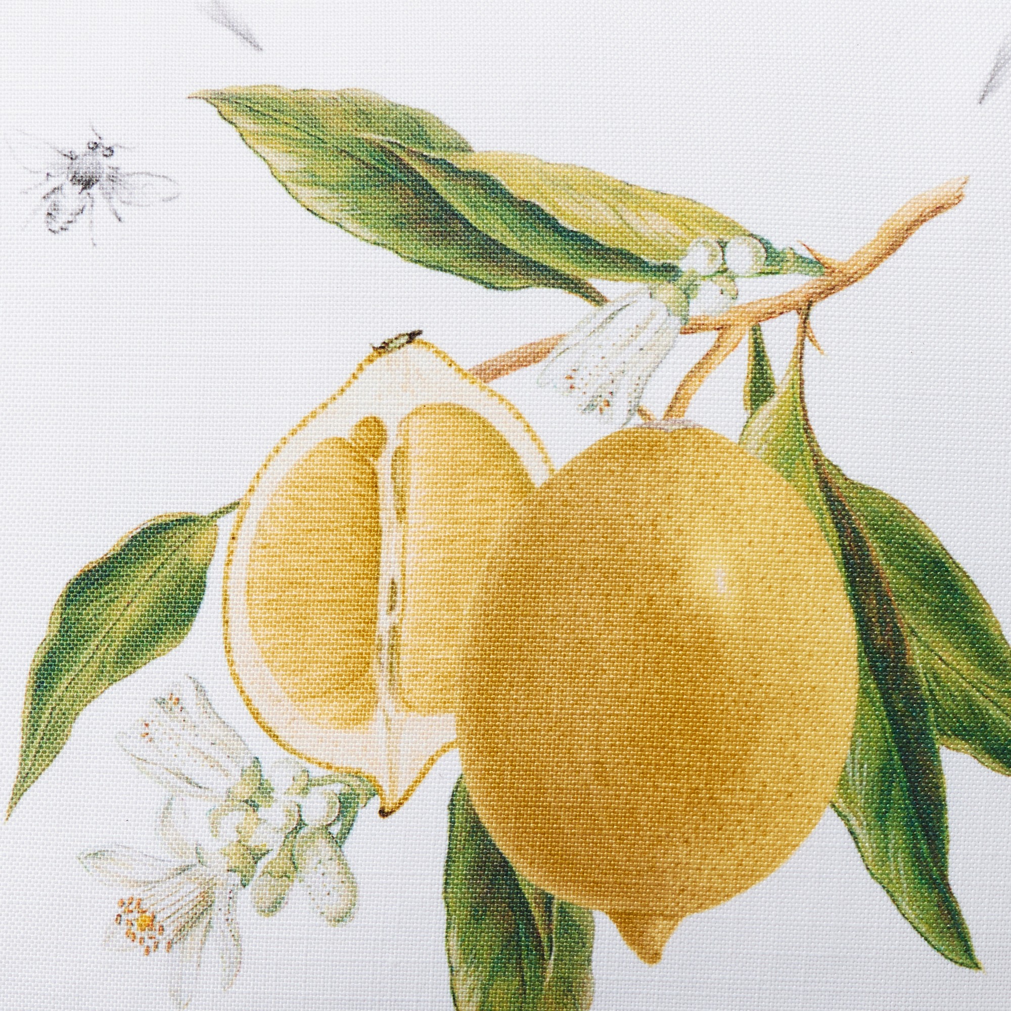 Meyer Lemon Pillow Cover