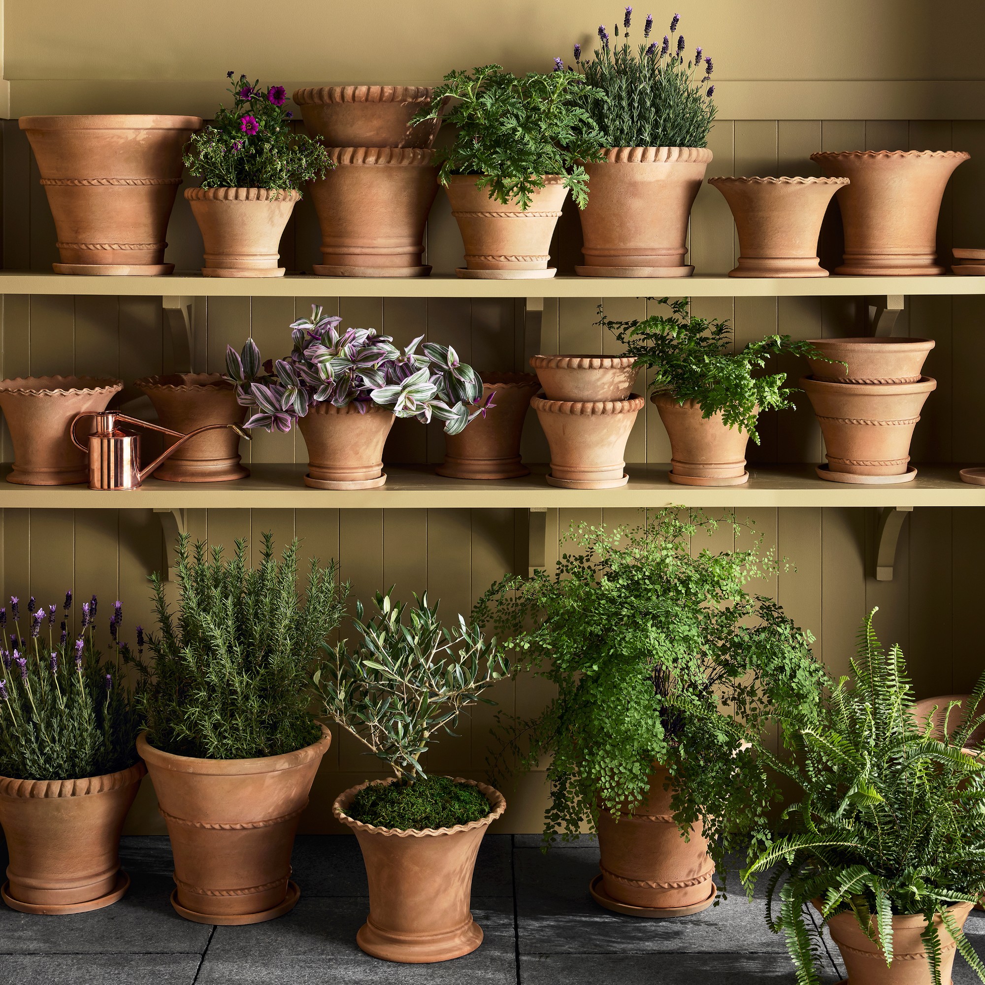 Williams Sonoma Terracotta Rope Planter