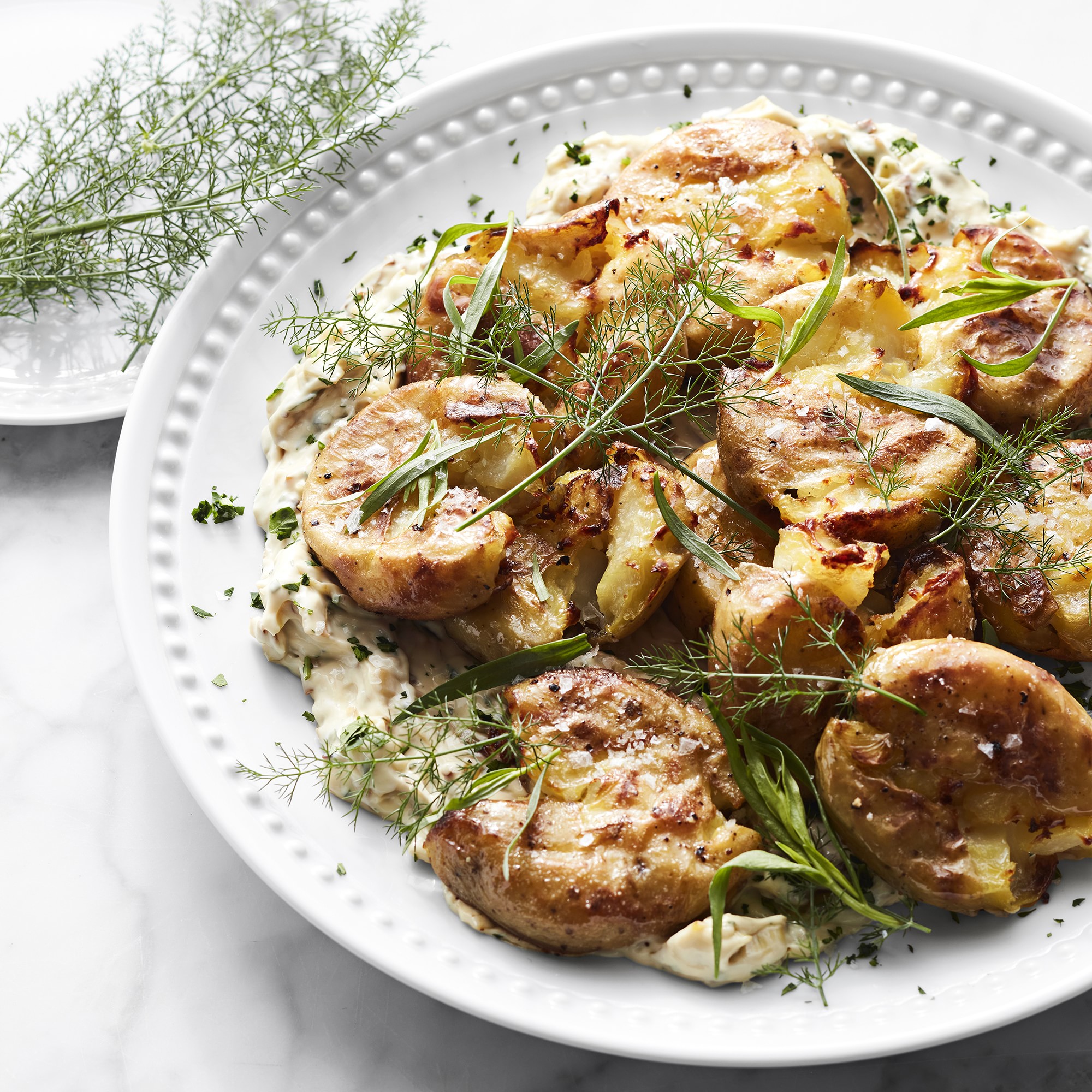 Pillivuyt Beaded Coupe Dinner Plates