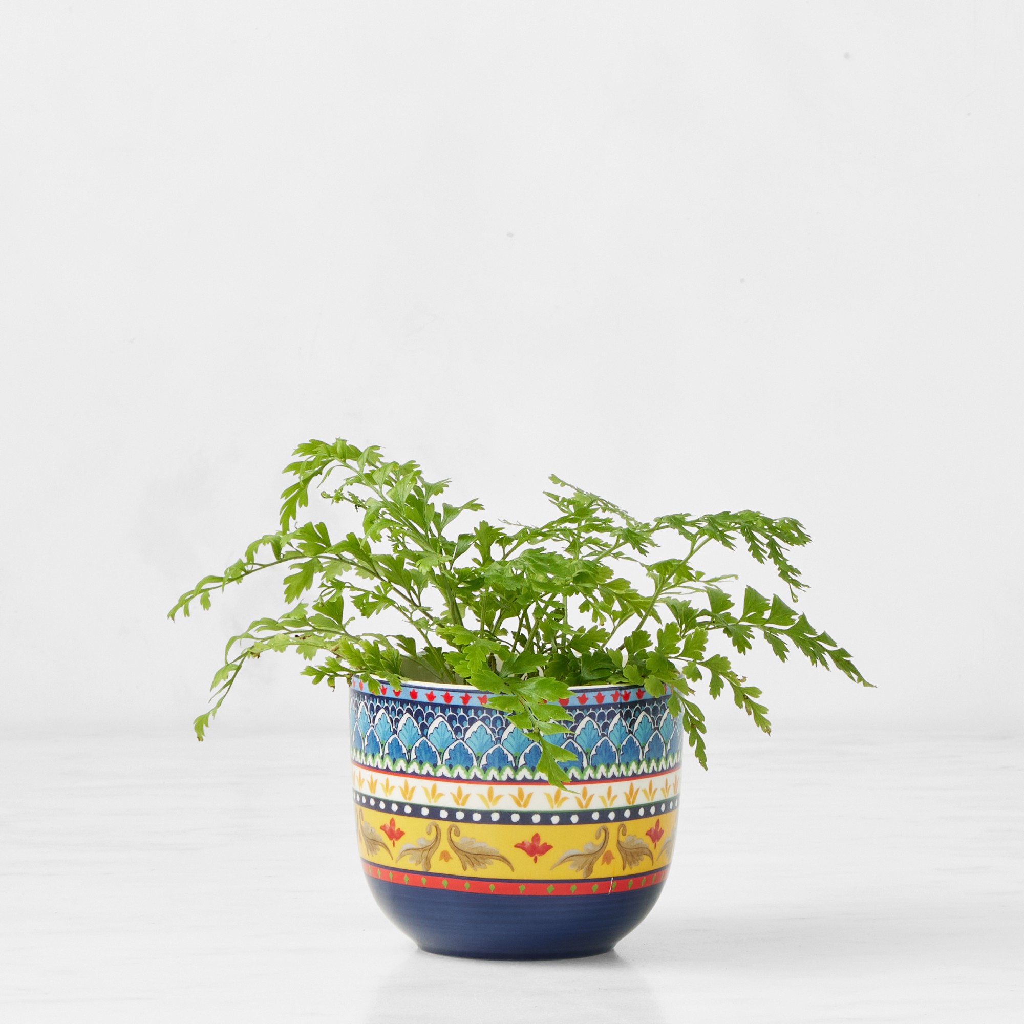 Sicily Cache Pot Collection