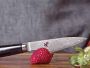 Miyabi Kaizen II Paring Knife, 3 1/2