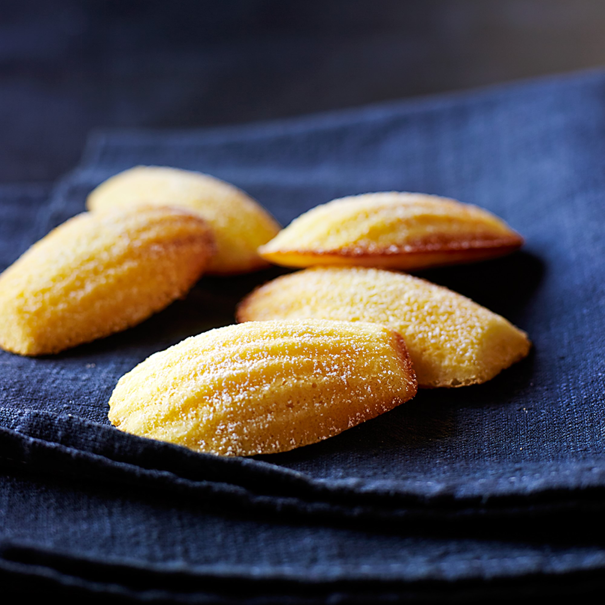 Williams Sonoma Goldtouch® Pro Nonstick Madeleine Pan
