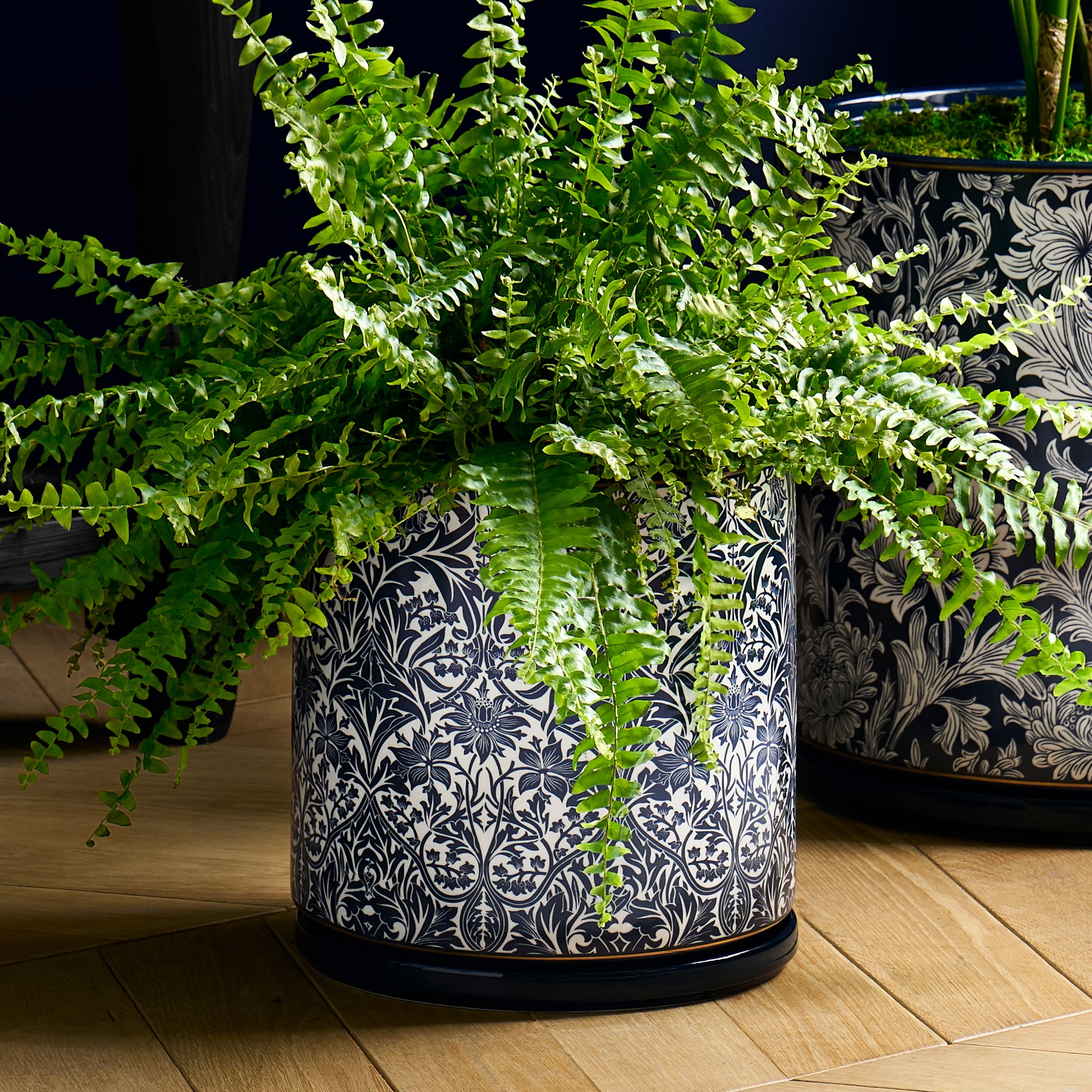 Morris & Co. x Williams Sonoma Ceramic Planter Collection