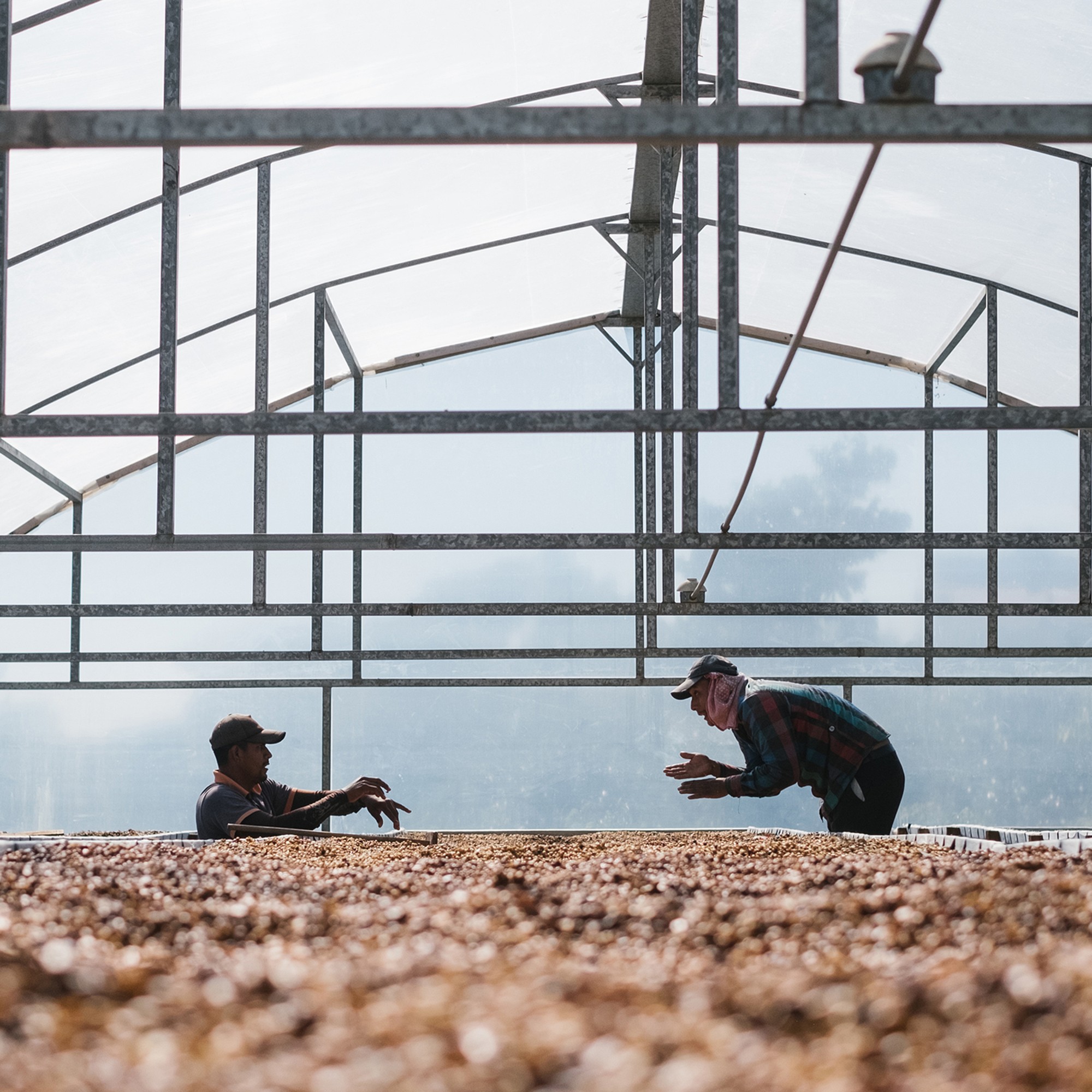 ONYX Coffee Monarch Blend Coffee Beans