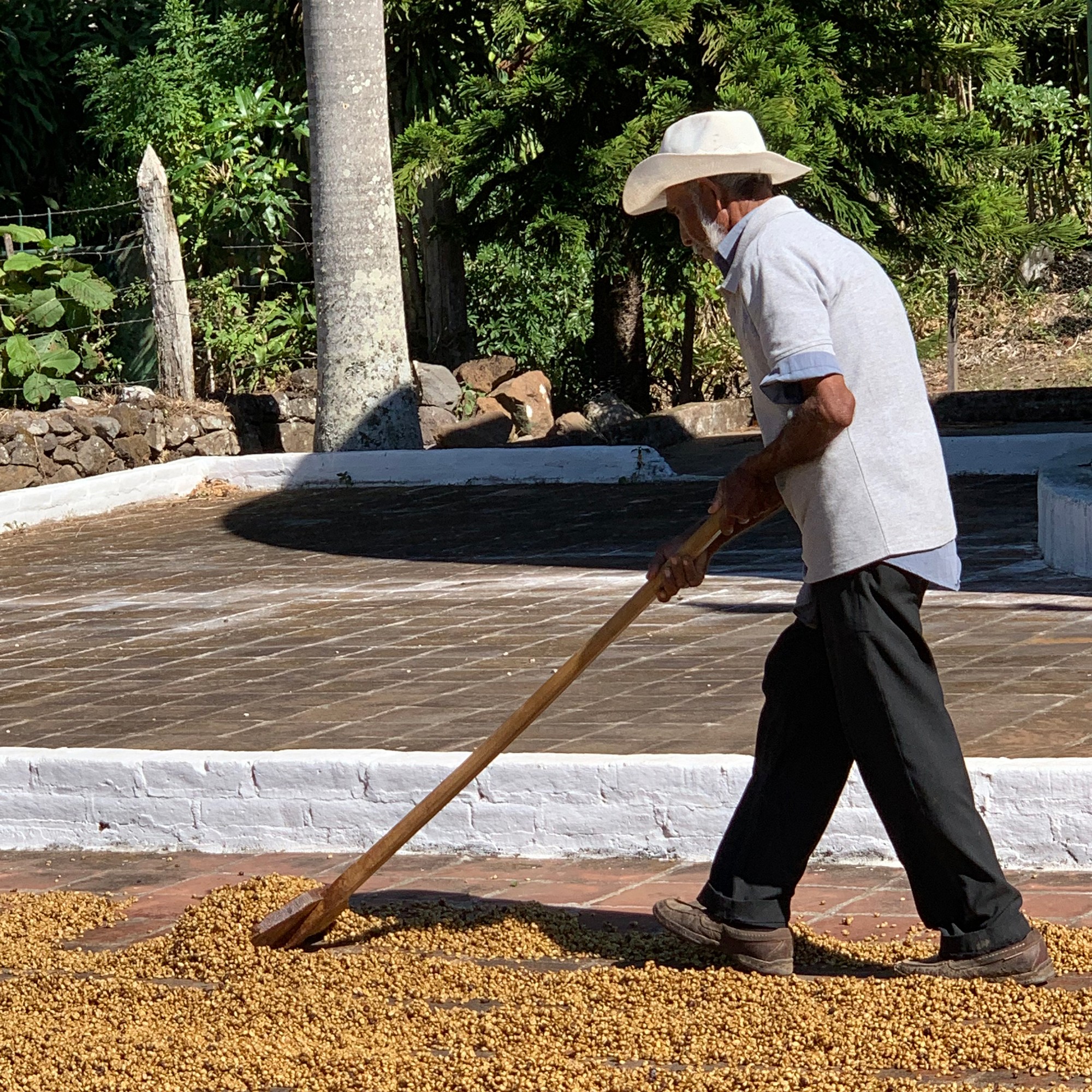 Klatch Coffee Decaf Espresso Blend Coffee Beans