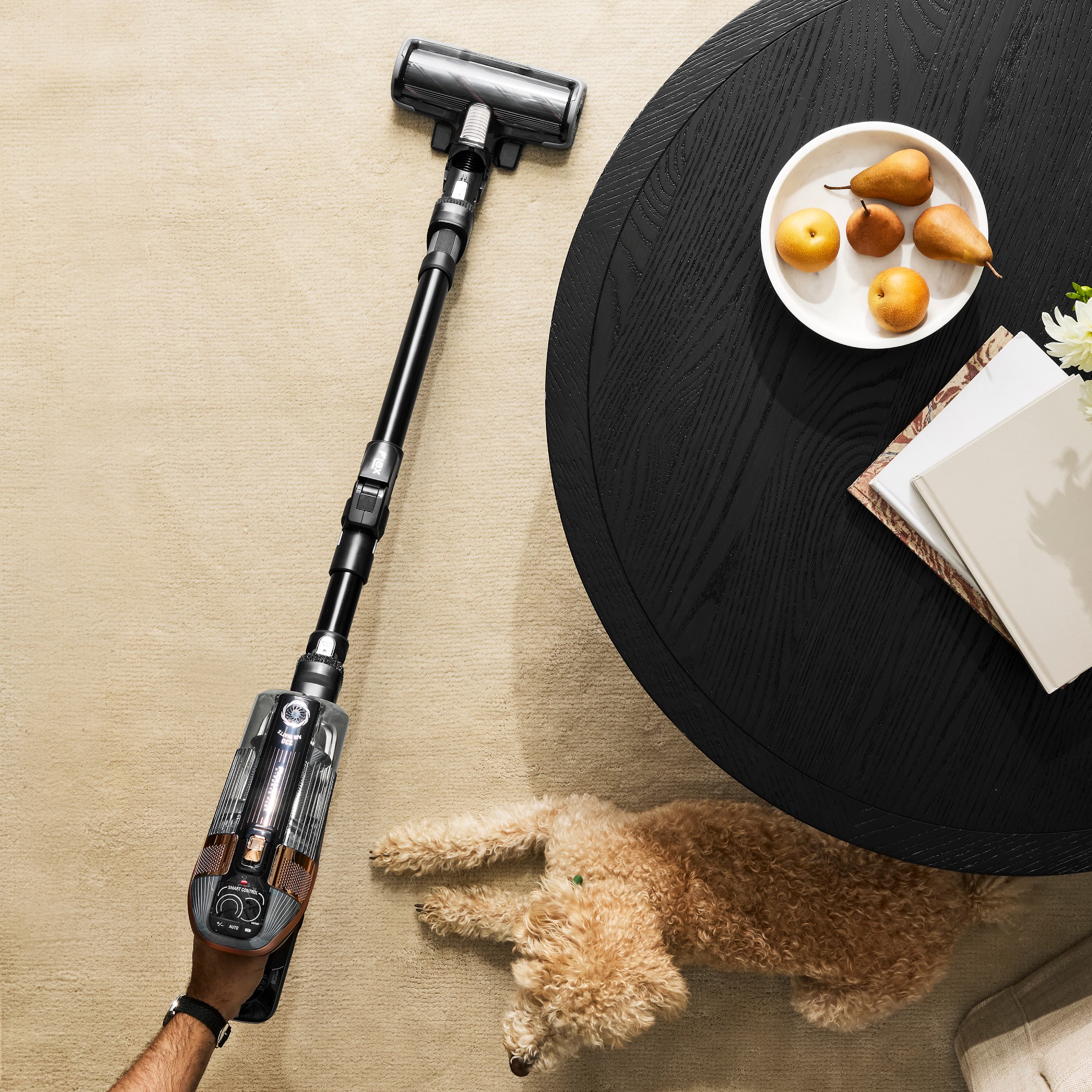 Rowenta X-Force Flex 15.60 RH99F2U1