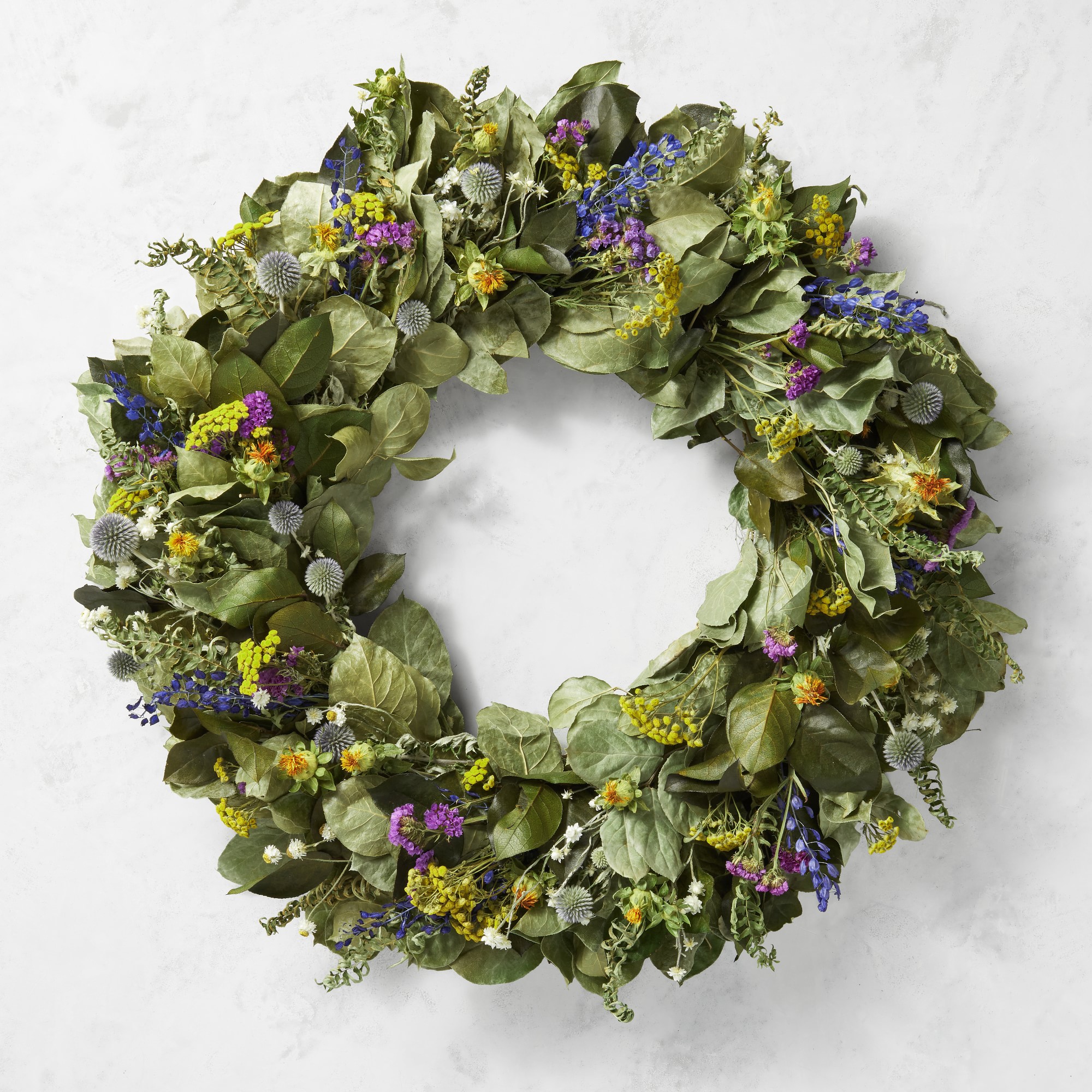 Painters Palette Live Wreath