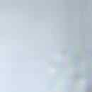 Country Ruffle Bedskirt