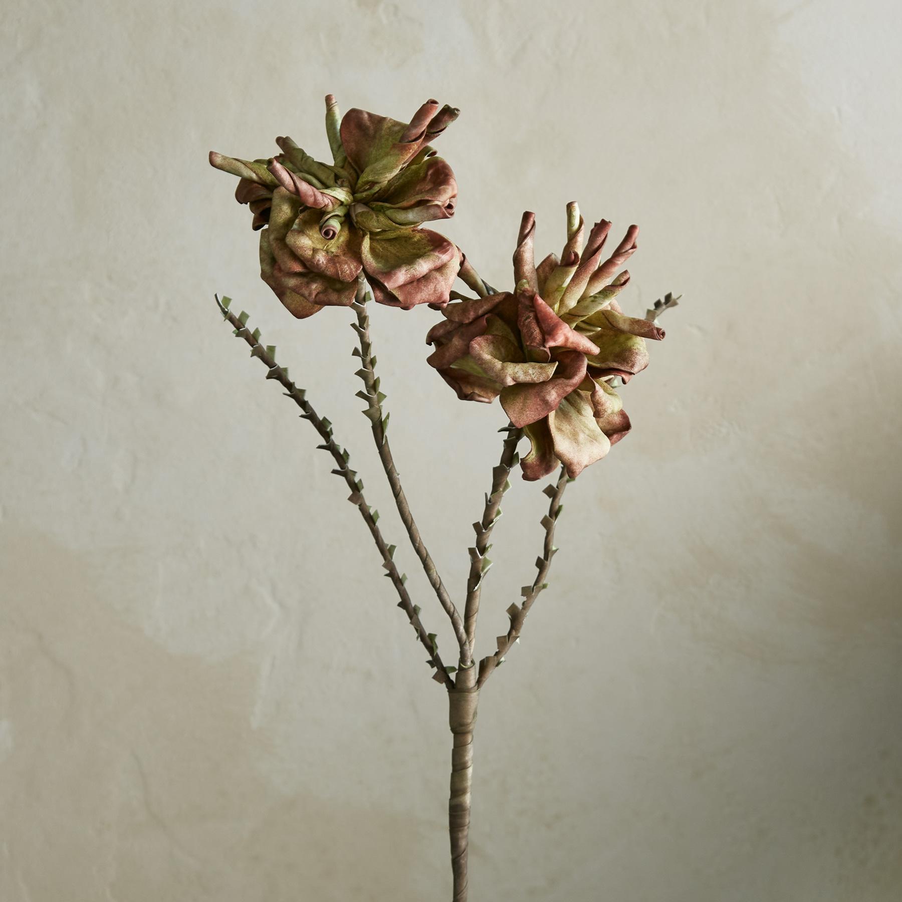 Bountiful Botanicals