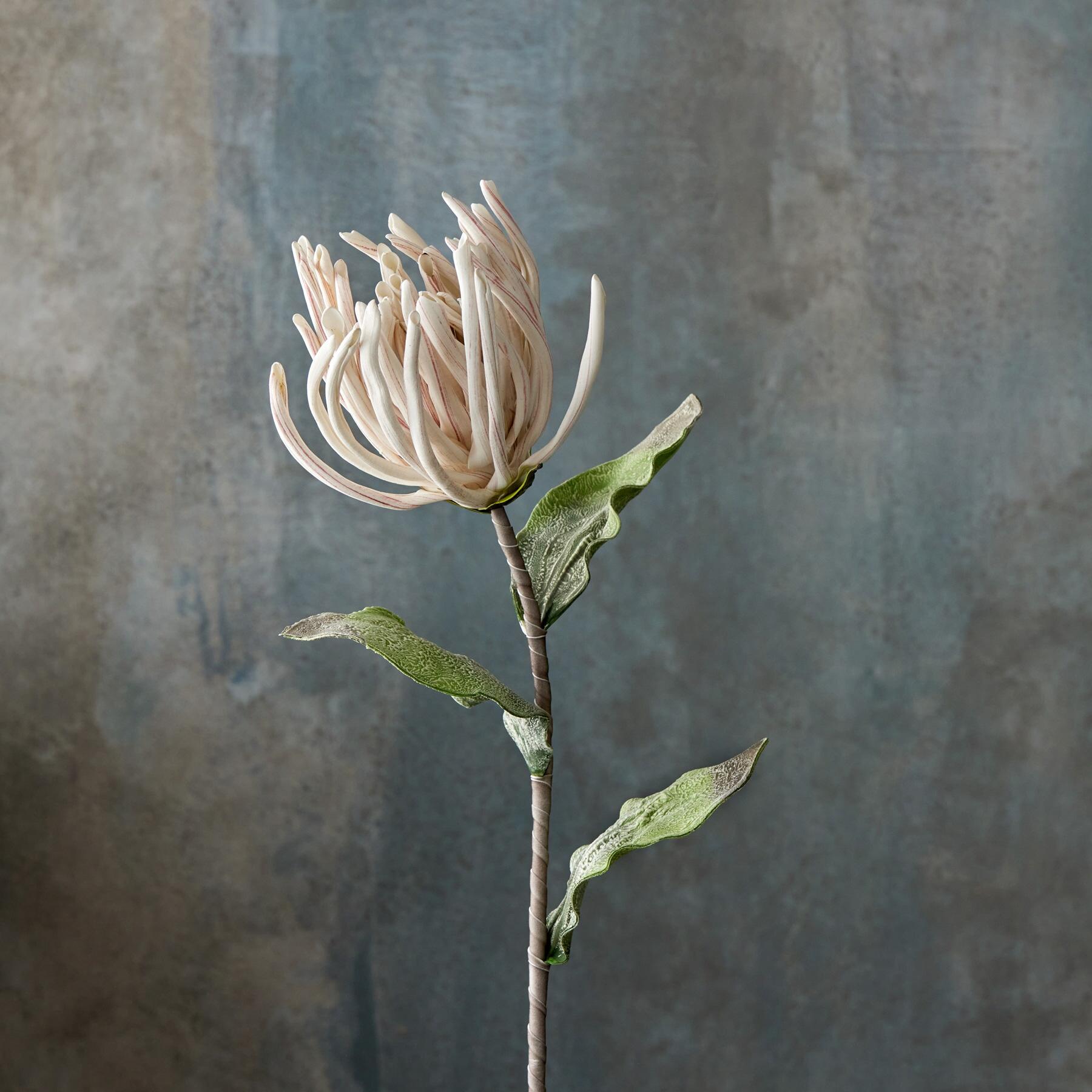 Bountiful Botanicals