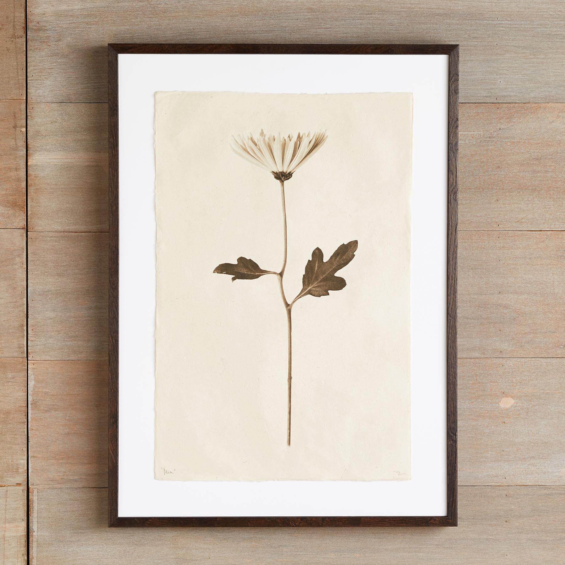 Flower Studies Print