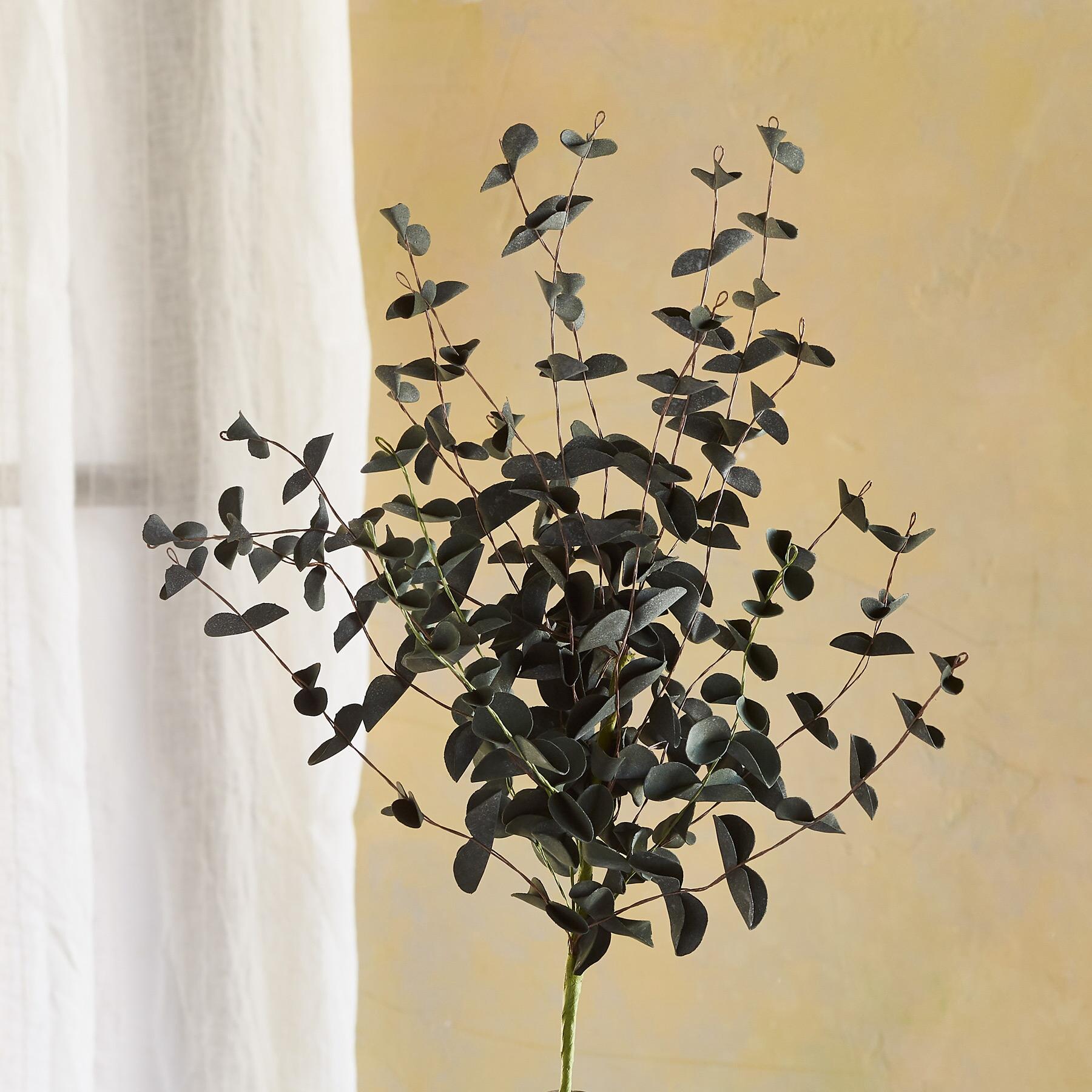 Bountiful Botanicals