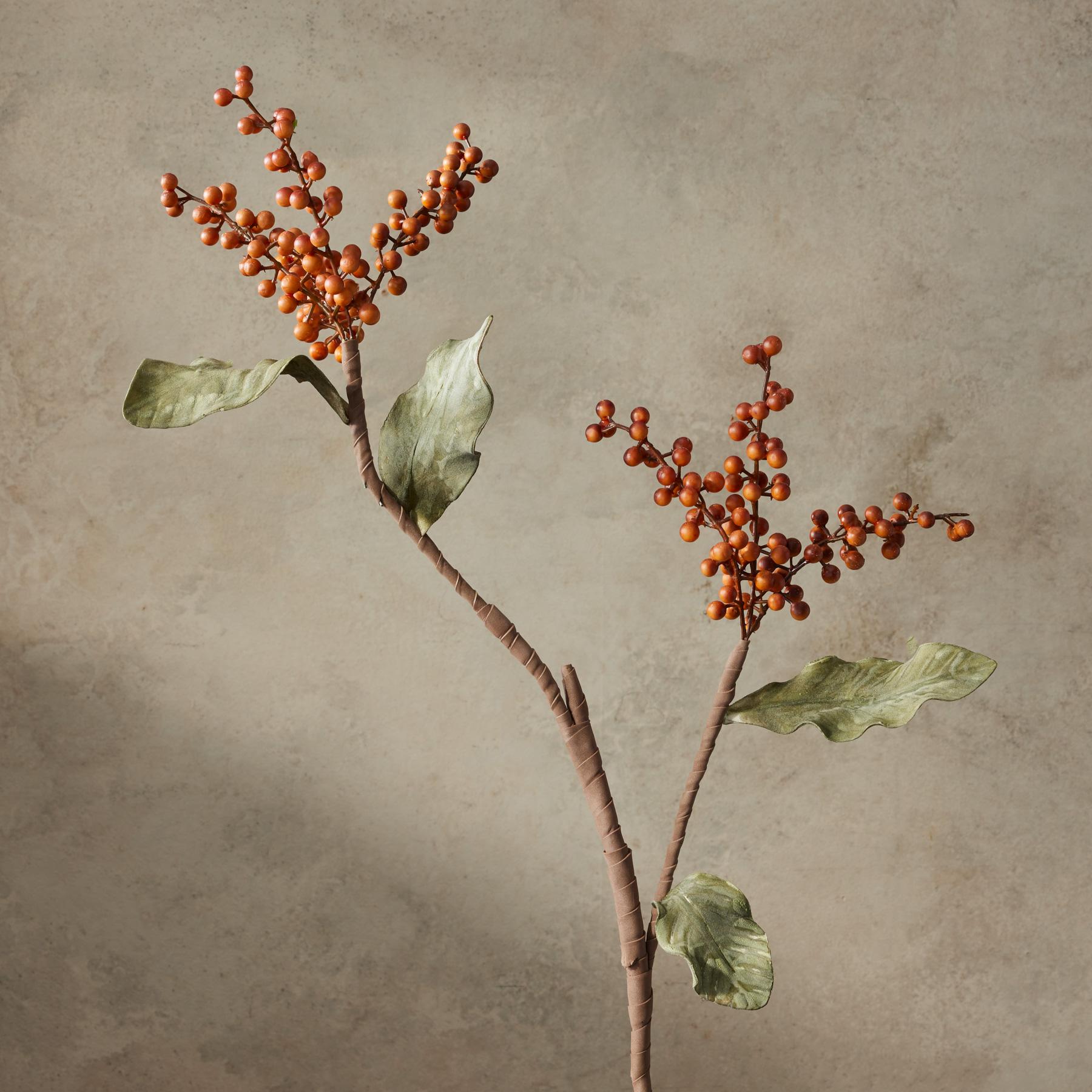 Bountiful Botanicals