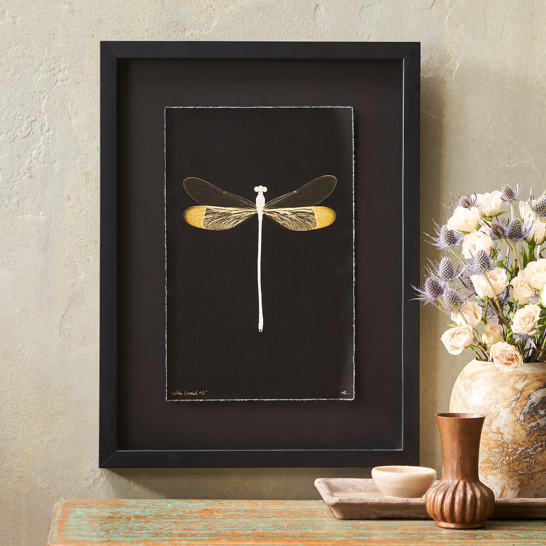 Golden Damselfly Negatives Print