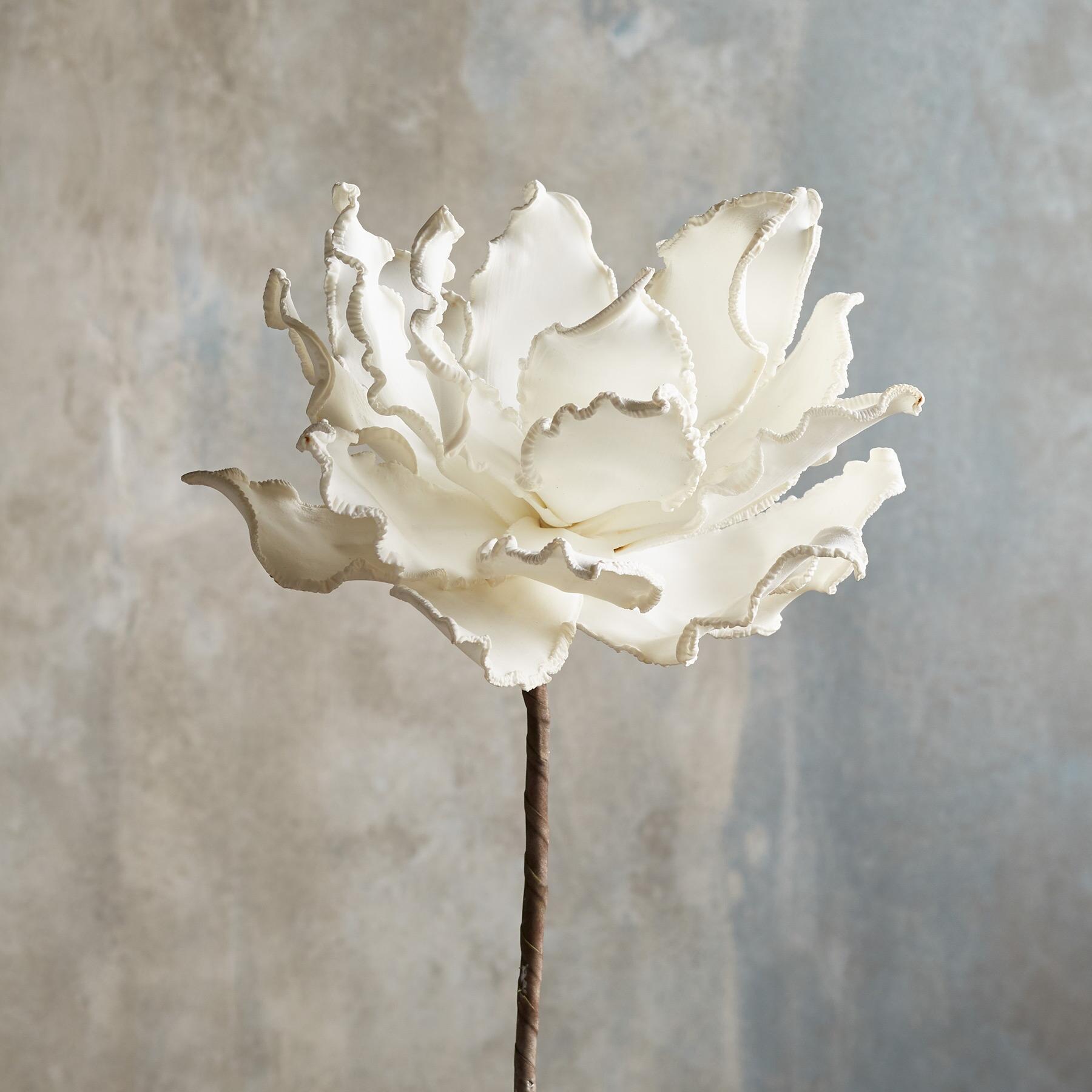 Bountiful Botanicals