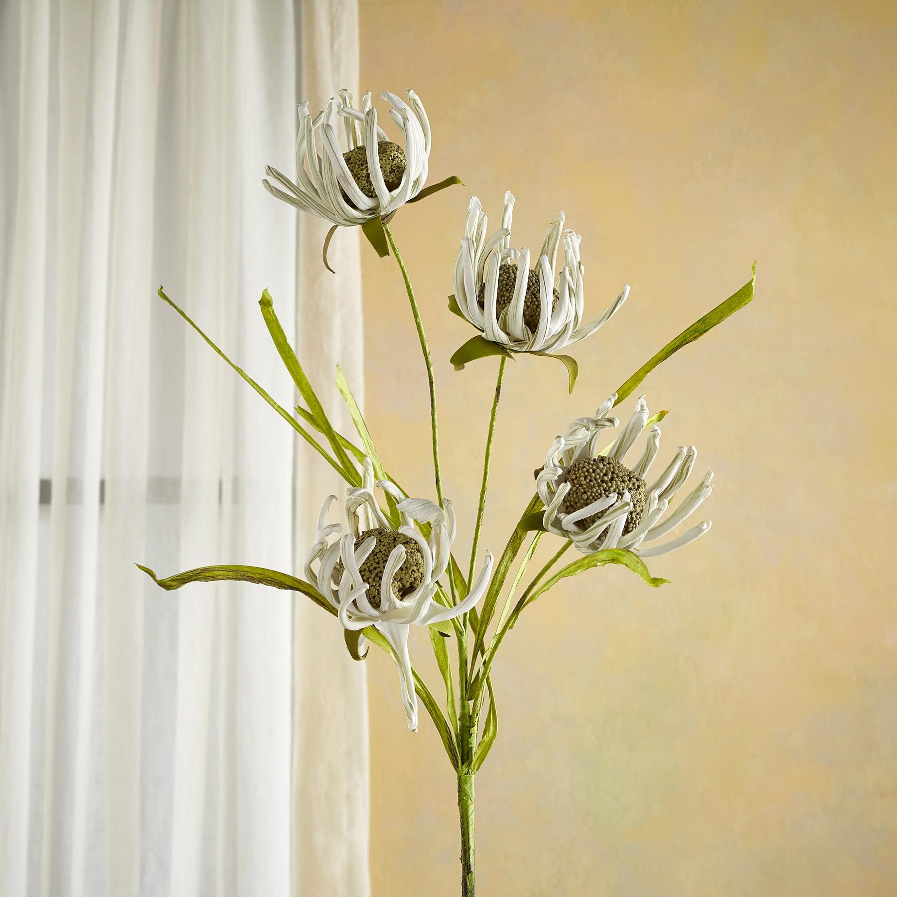 Bountiful Botanicals