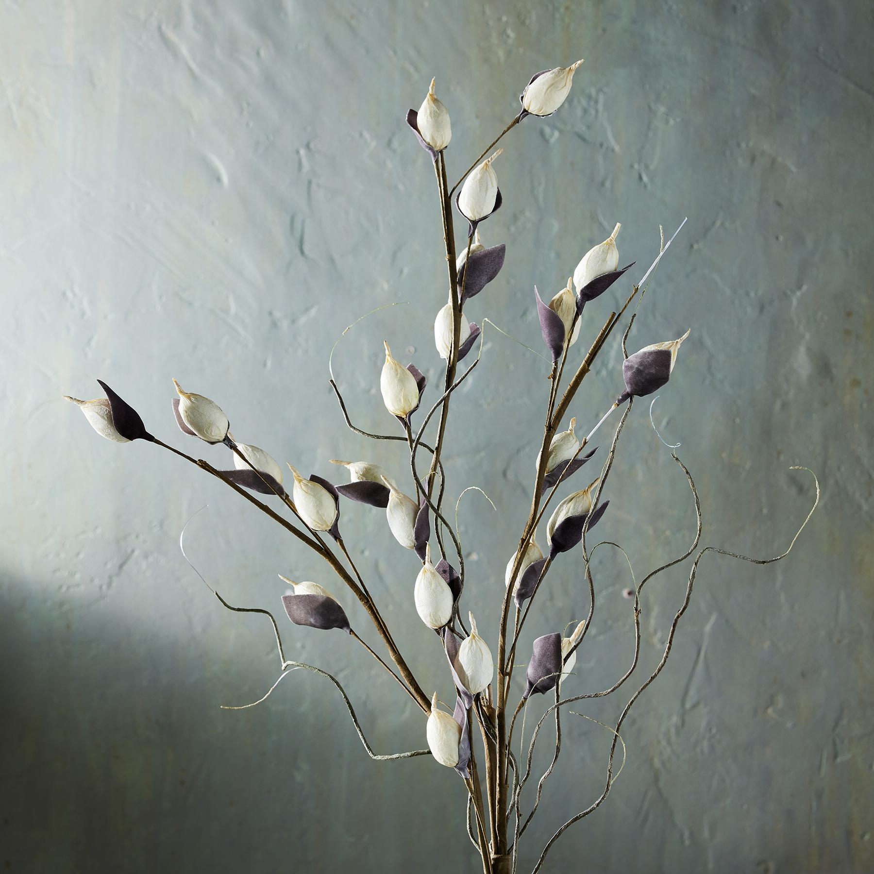 Bountiful Botanicals