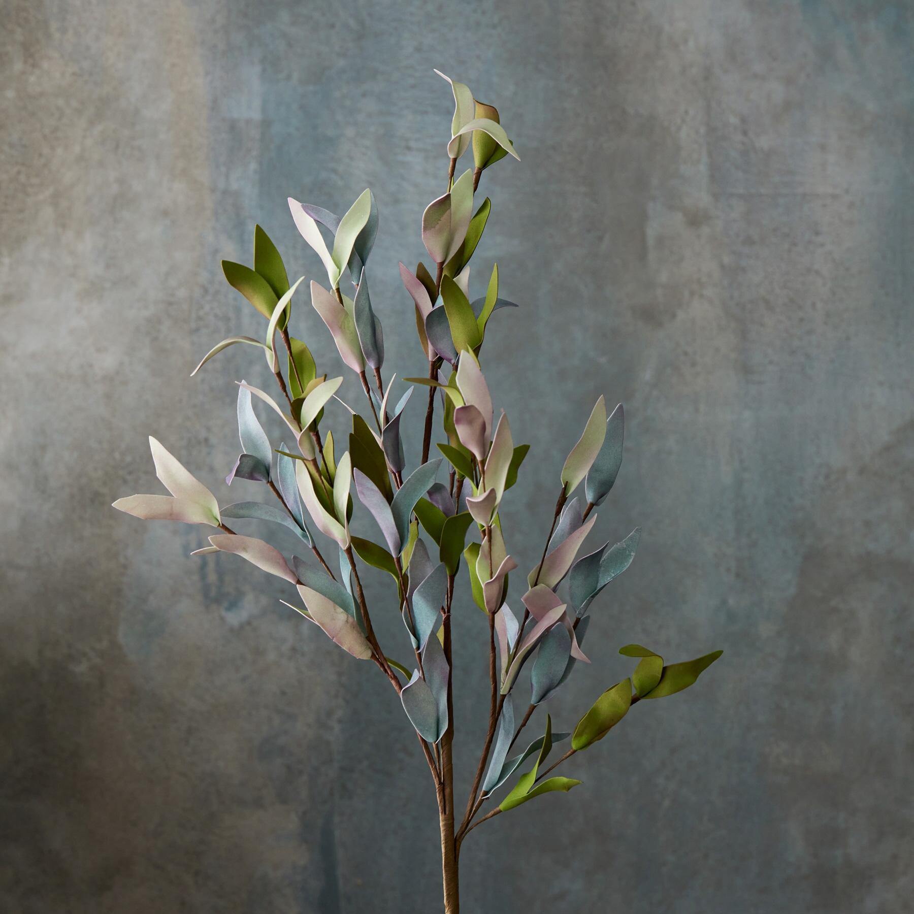 Bountiful Botanicals