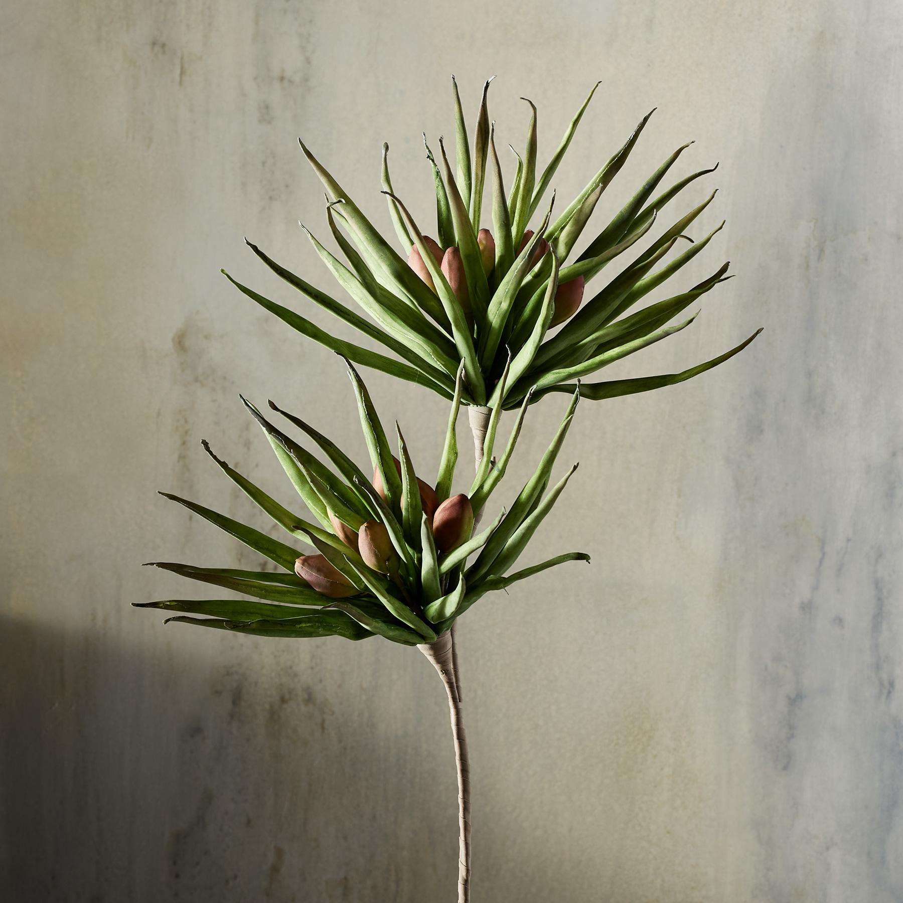 Bountiful Botanicals