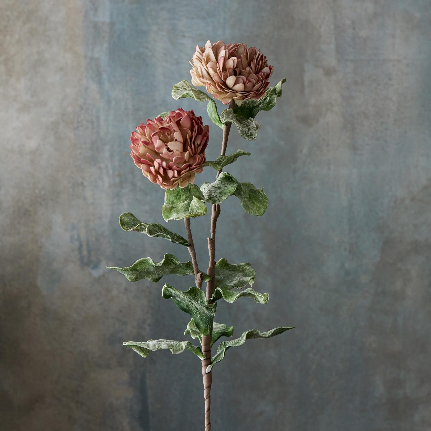 Bountiful Botanicals