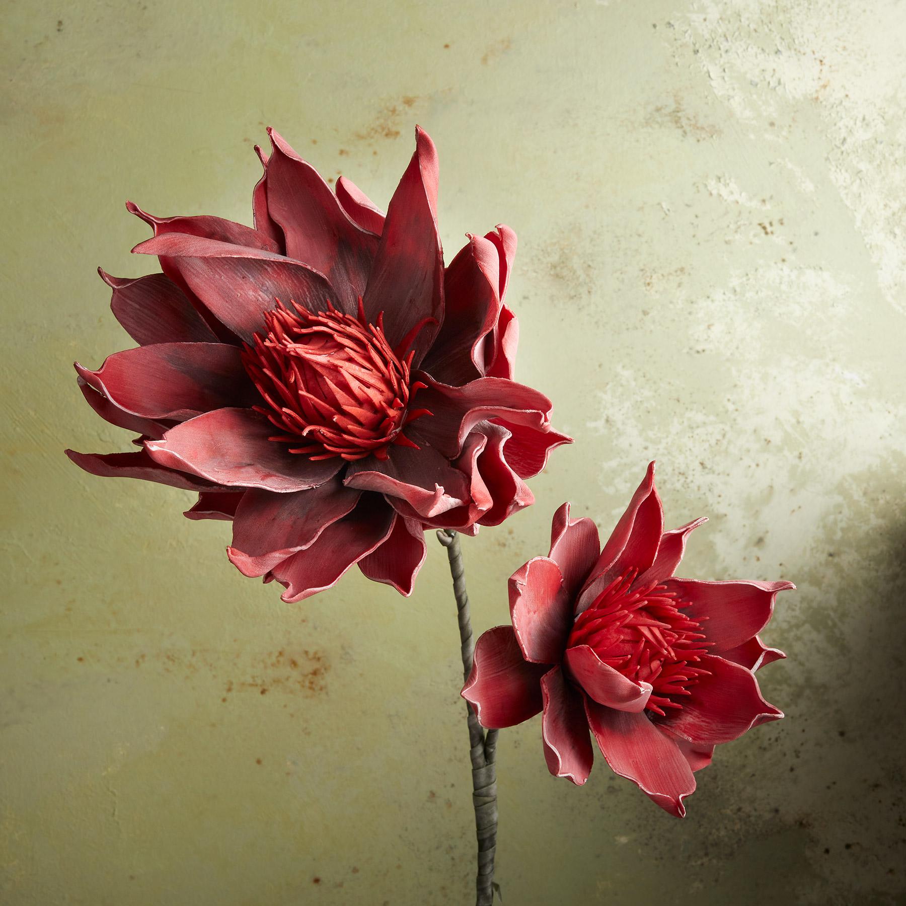 Bountiful Botanicals