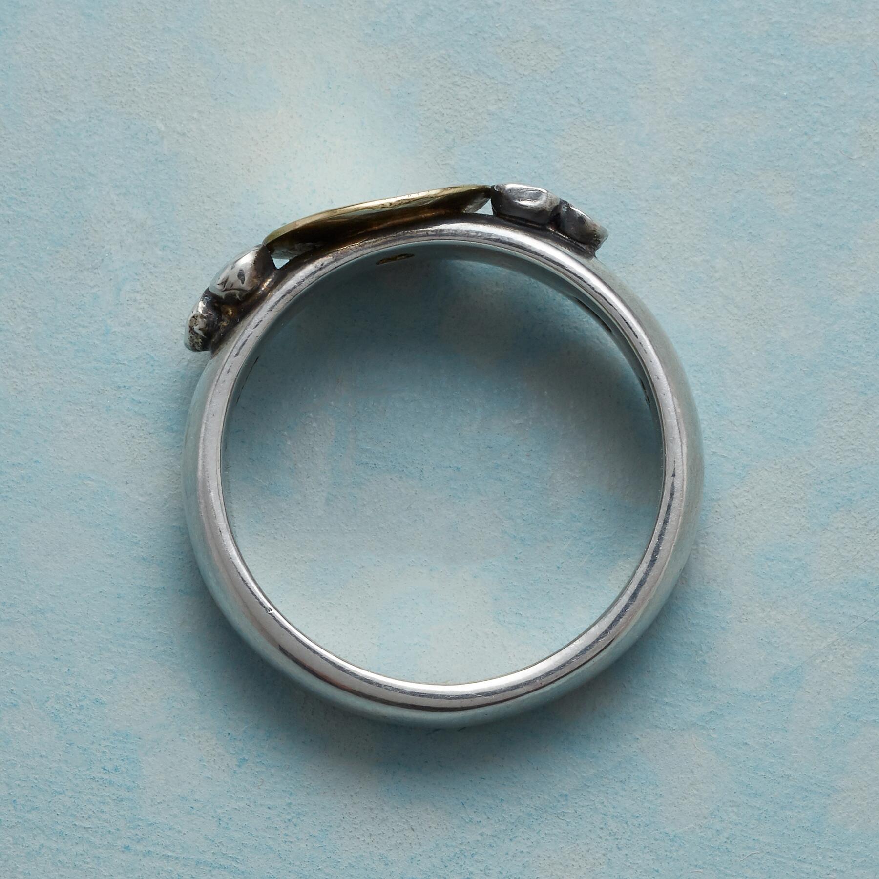 Golden Offering Ring