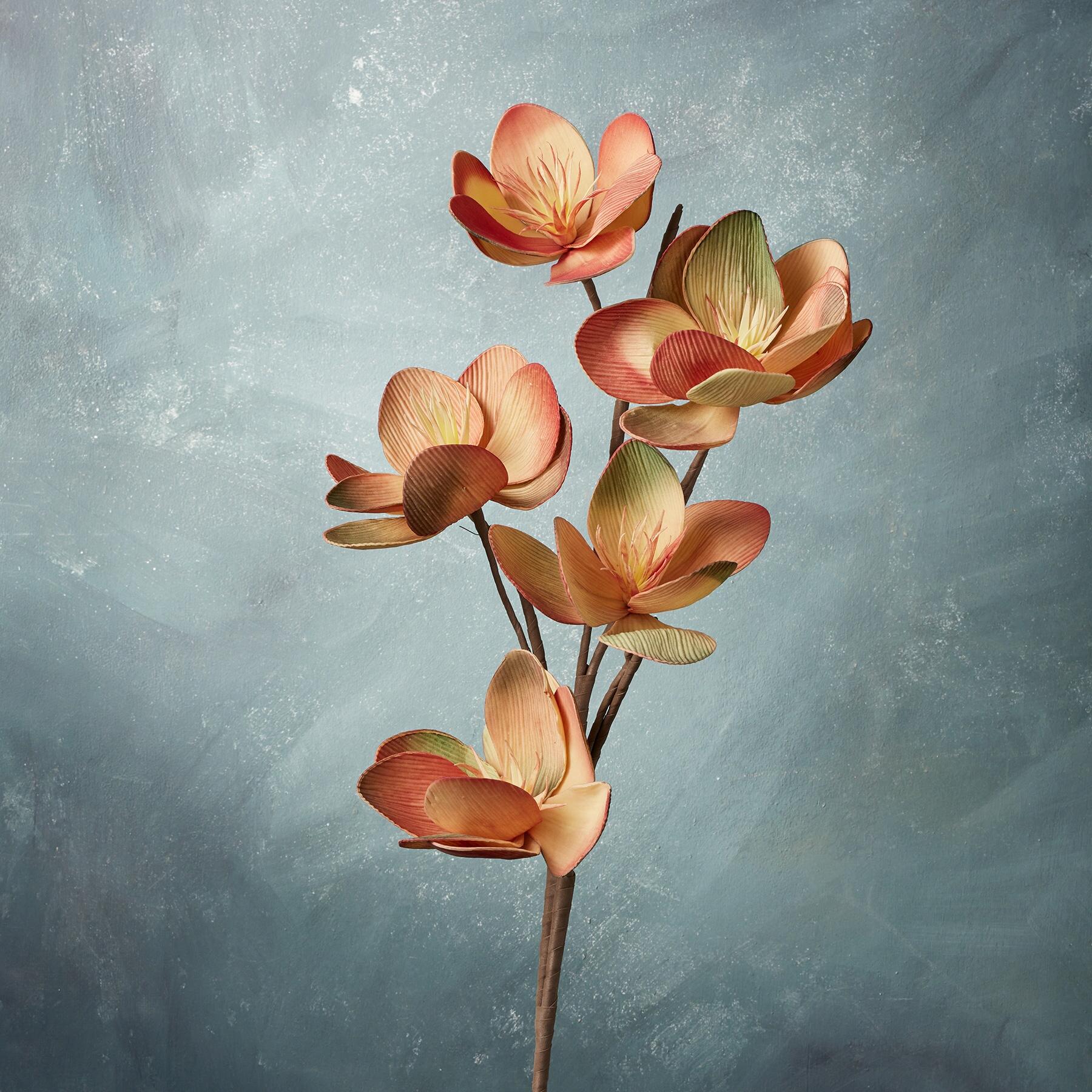 Bountiful Botanicals