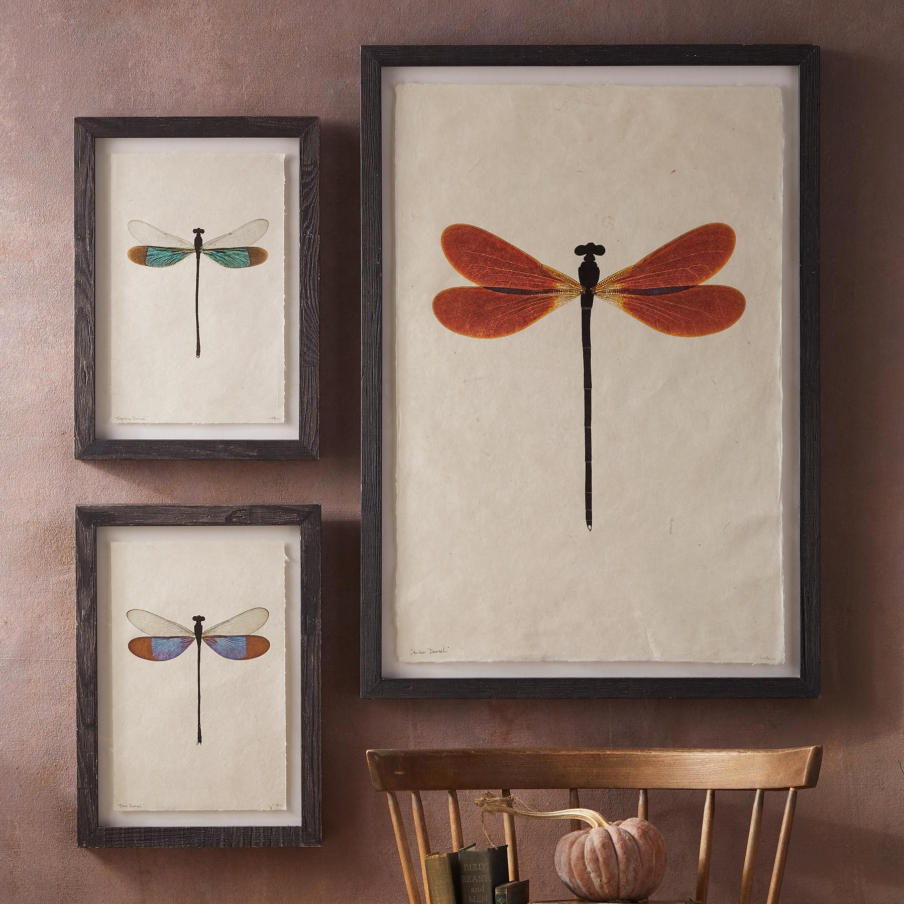 Dragonfly Studies Prints
