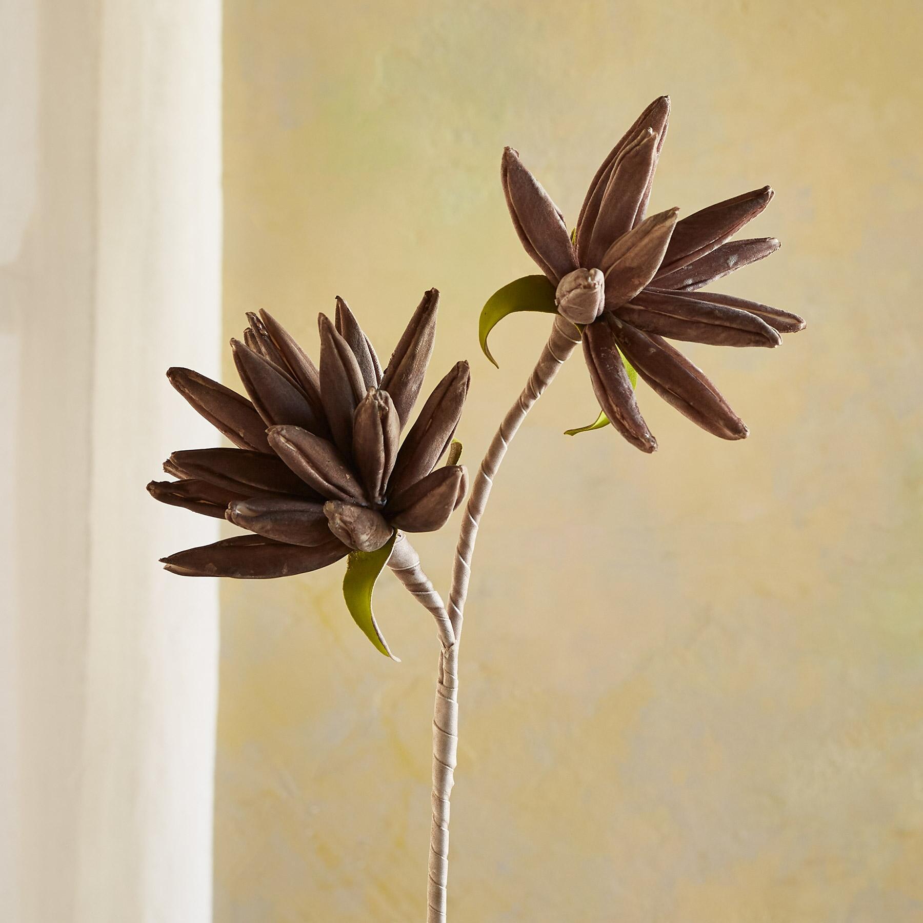 Bountiful Botanicals