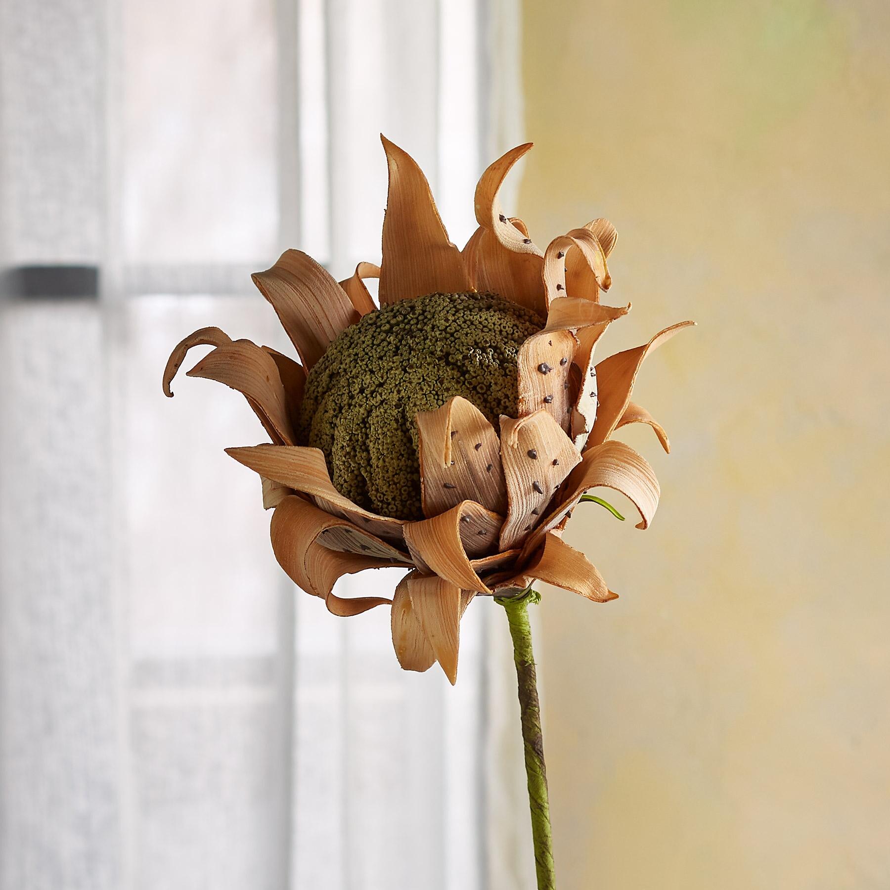 Bountiful Botanicals