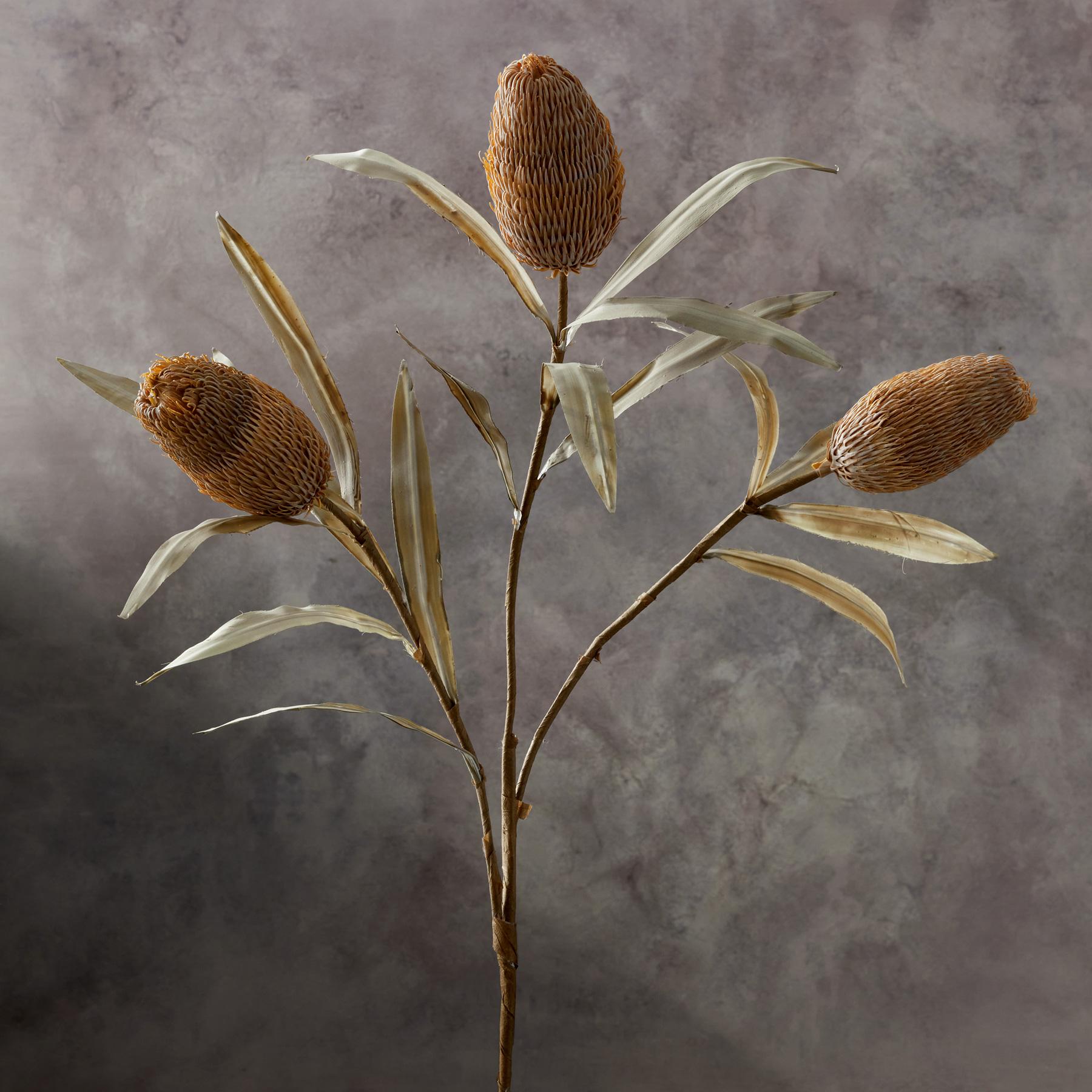 Bountiful Botanicals