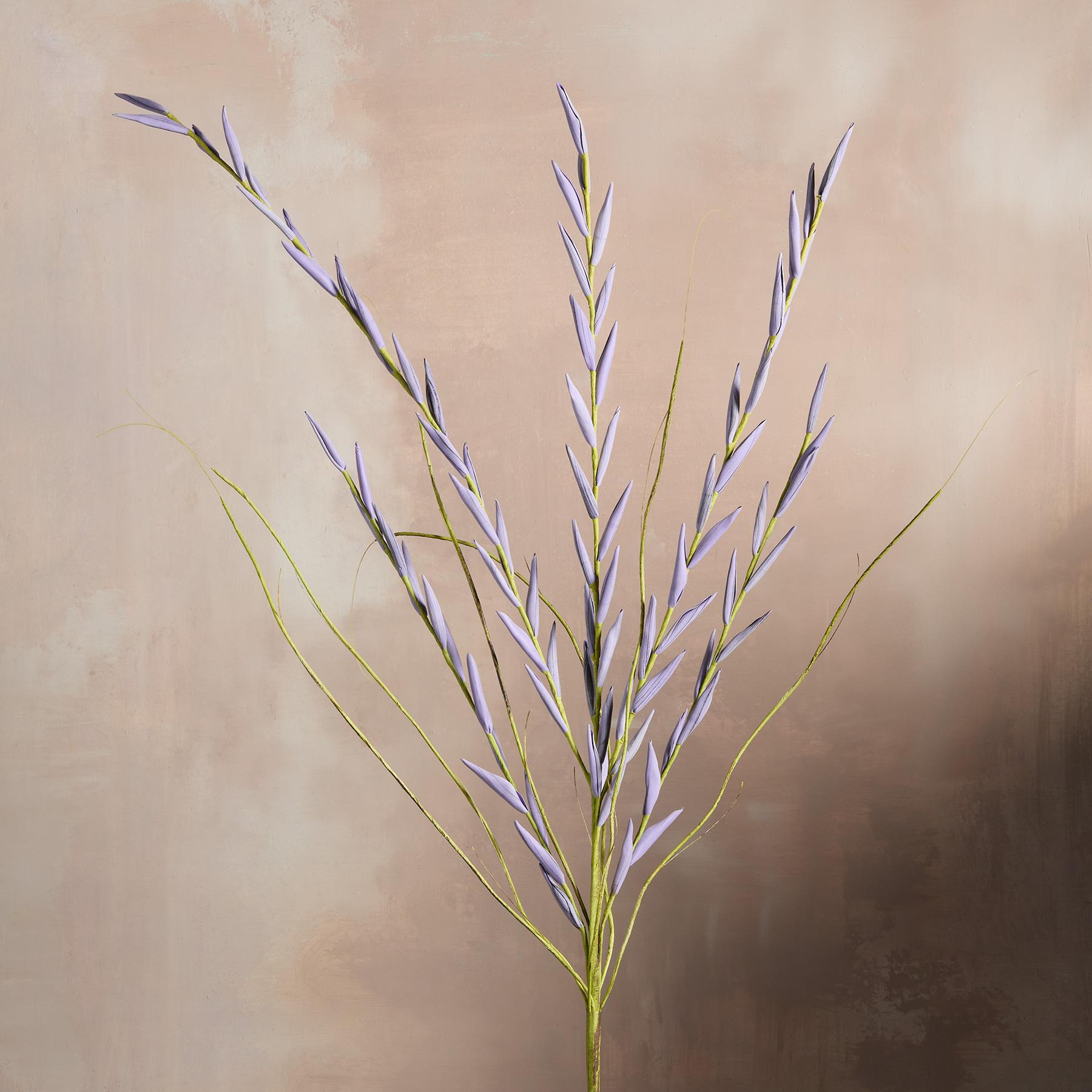 Bountiful Botanicals