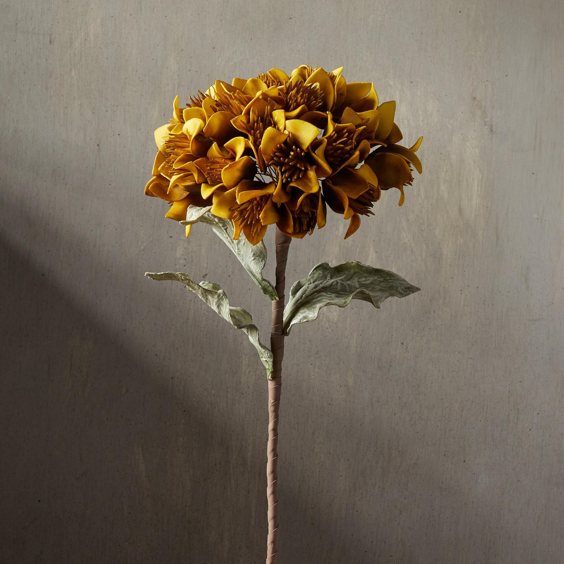 Bountiful Botanicals