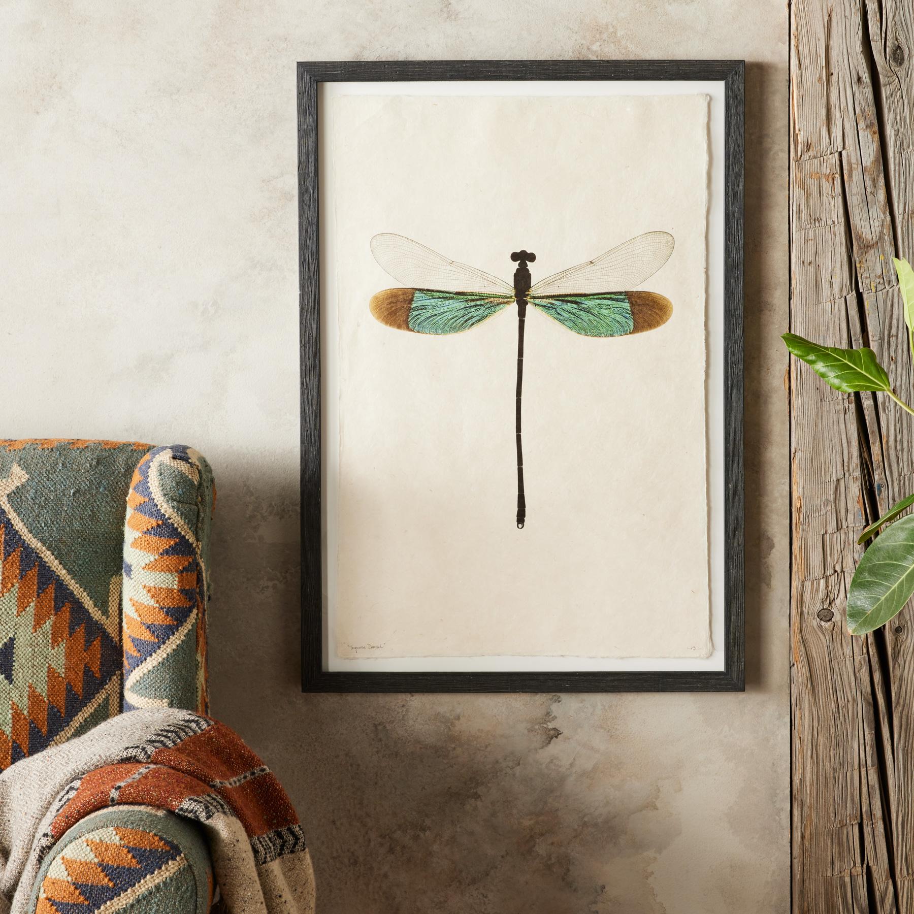 Dragonfly Studies Prints