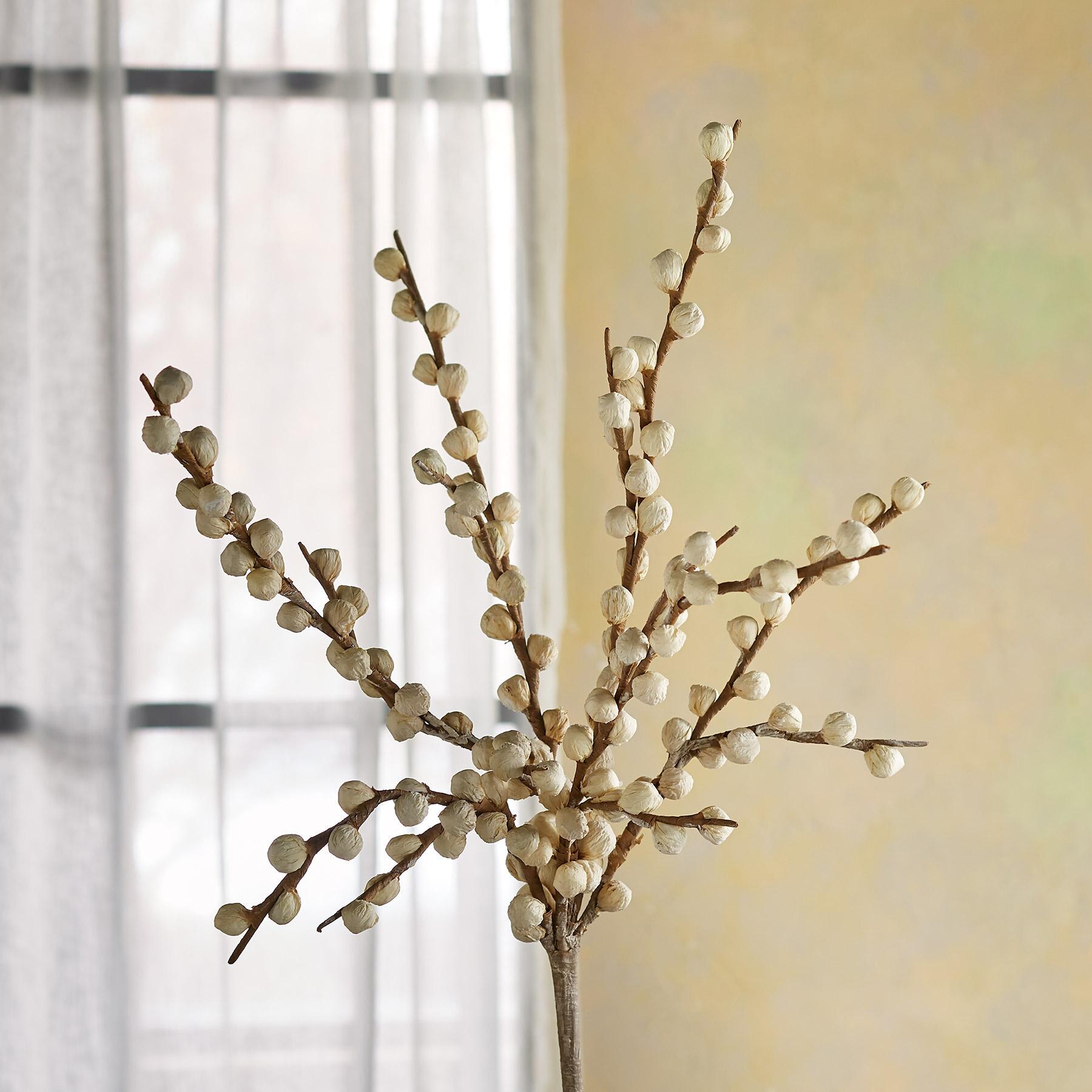 Bountiful Botanicals