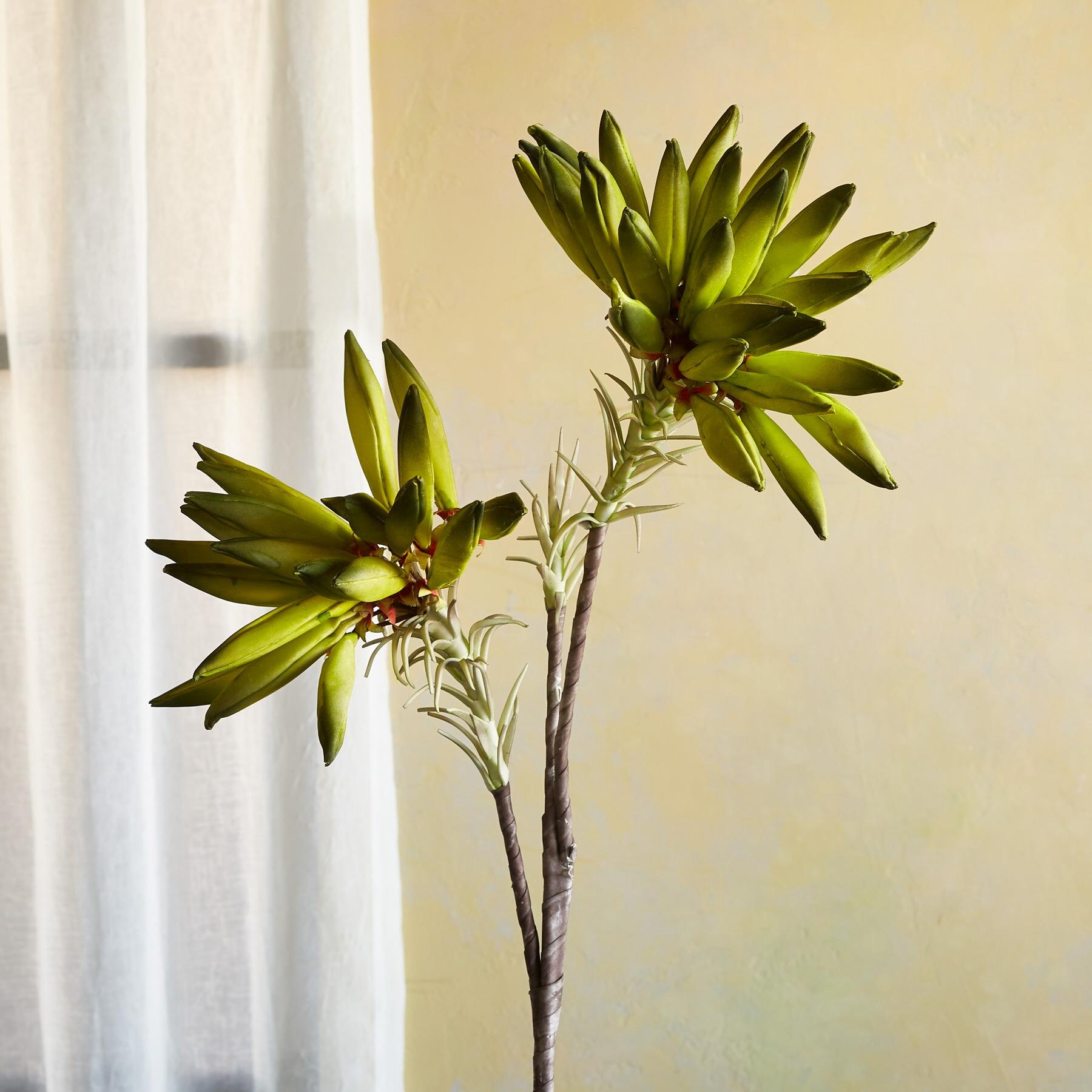 Bountiful Botanicals