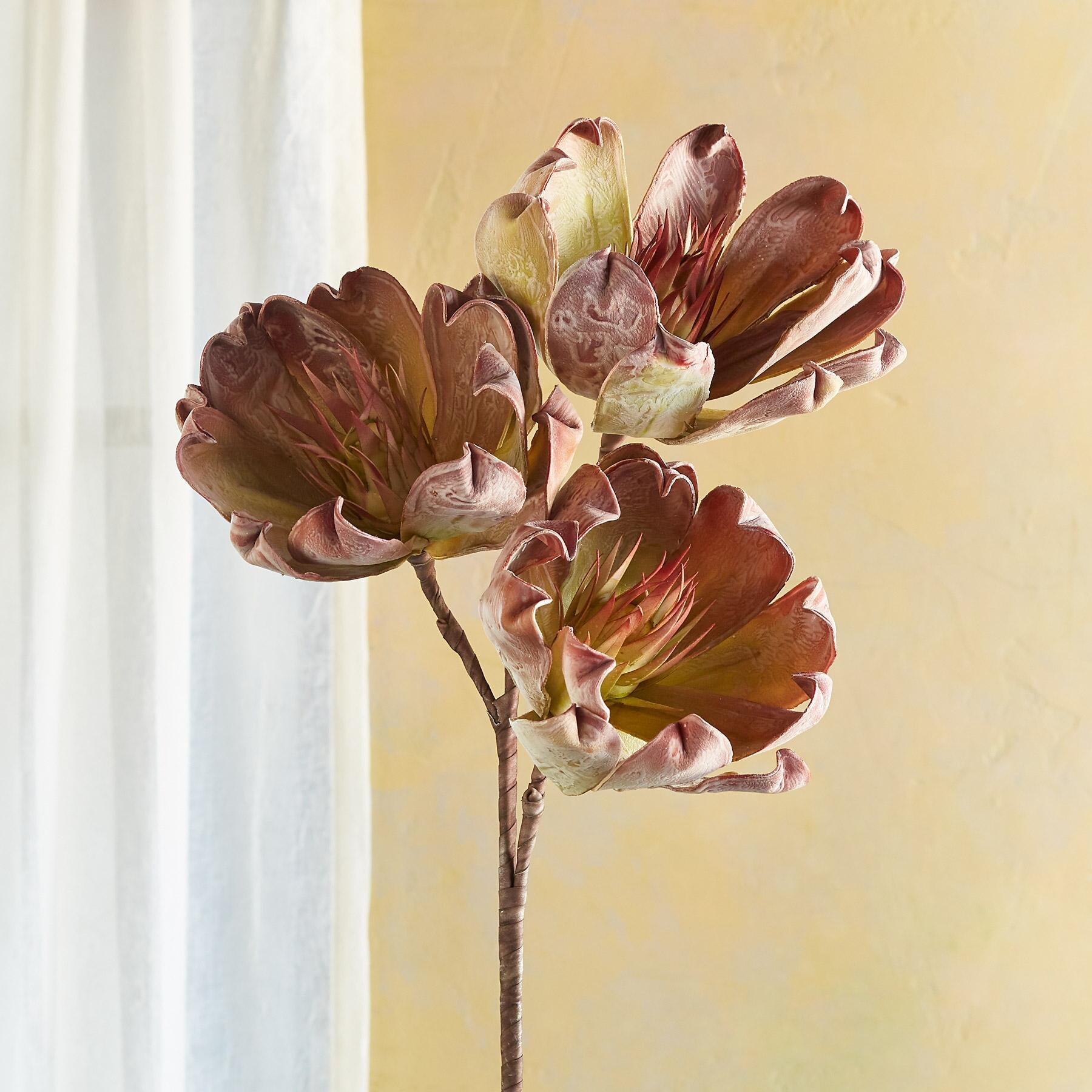 Bountiful Botanicals