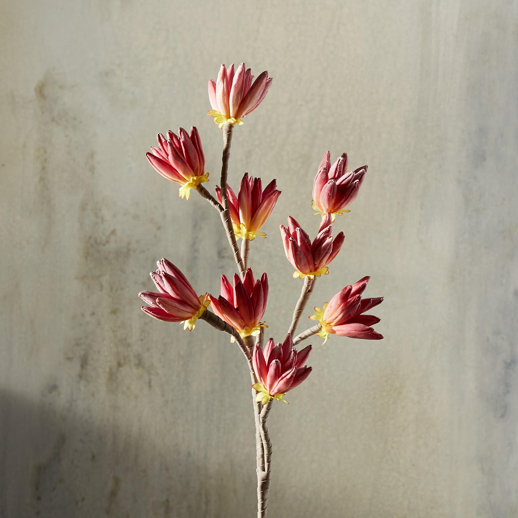 Bountiful Botanicals