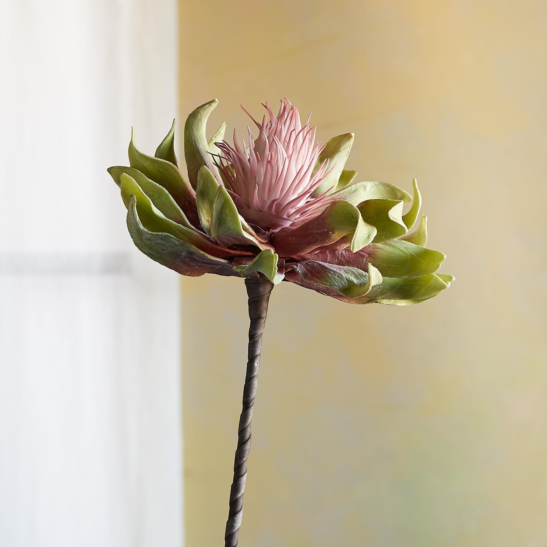 Bountiful Botanicals